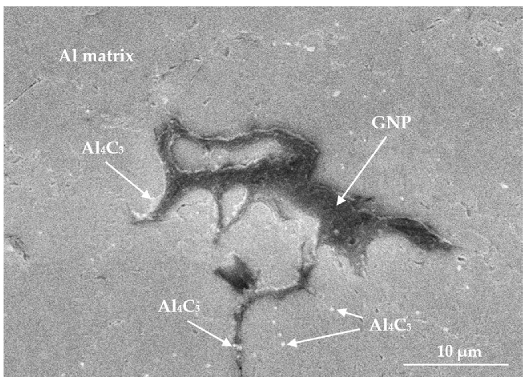 Metals 15 00285 g002