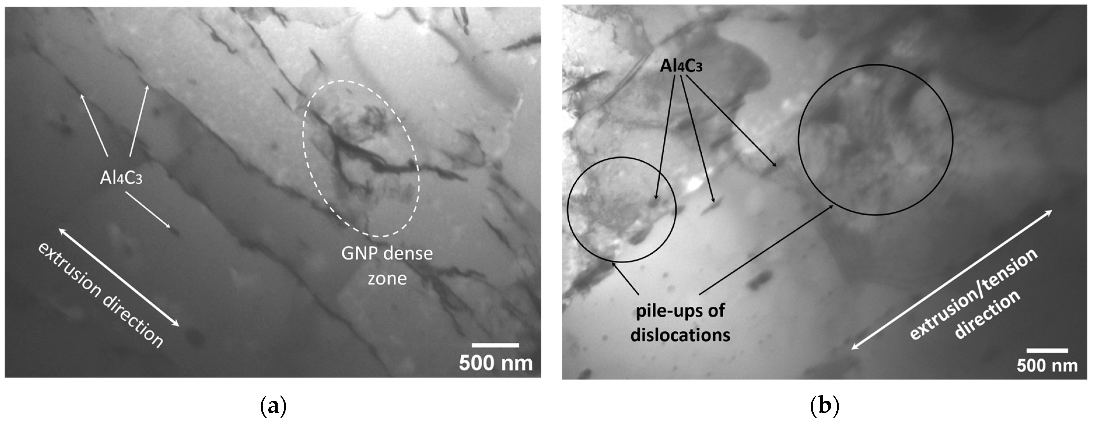 Metals 15 00285 g005