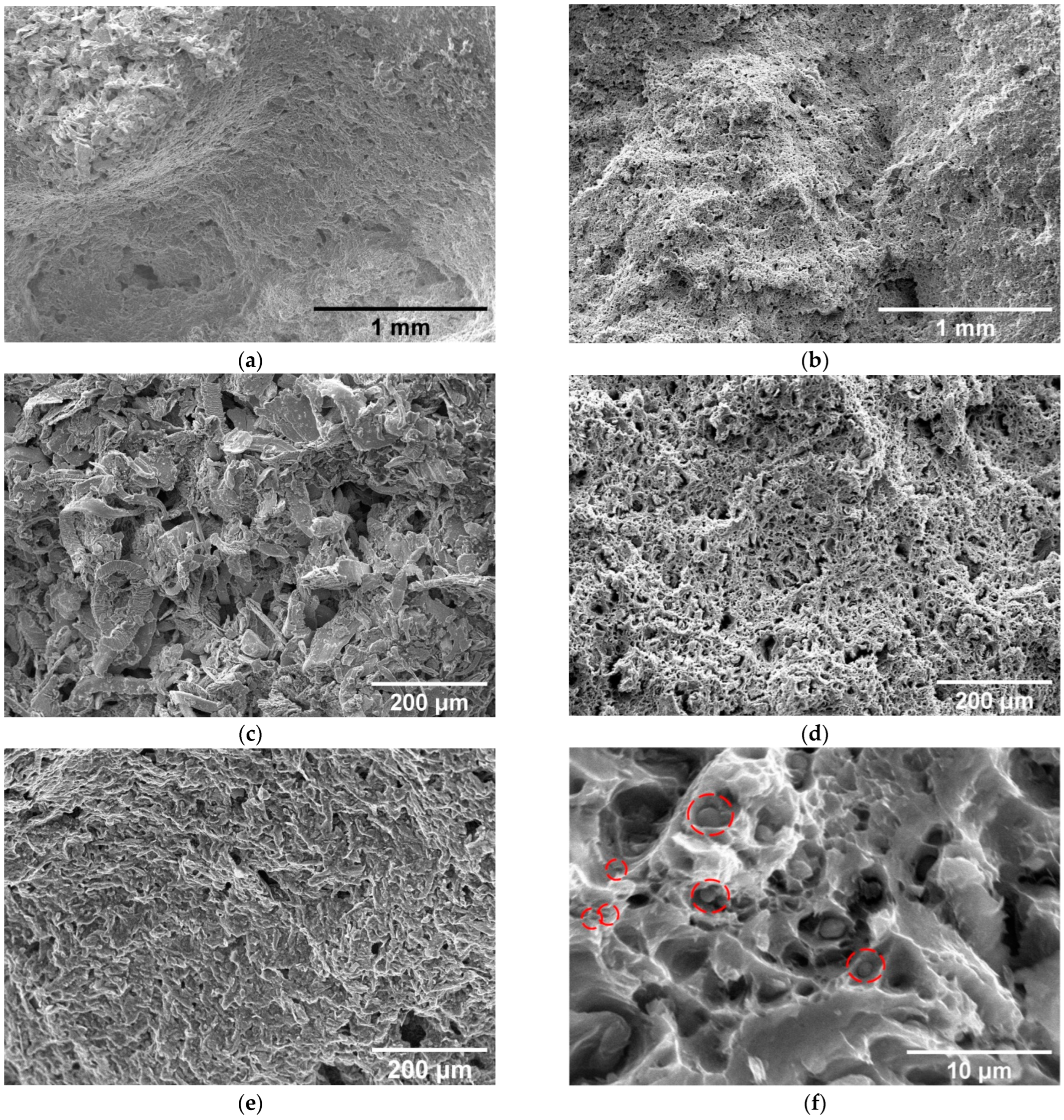 Metals 15 00285 g010