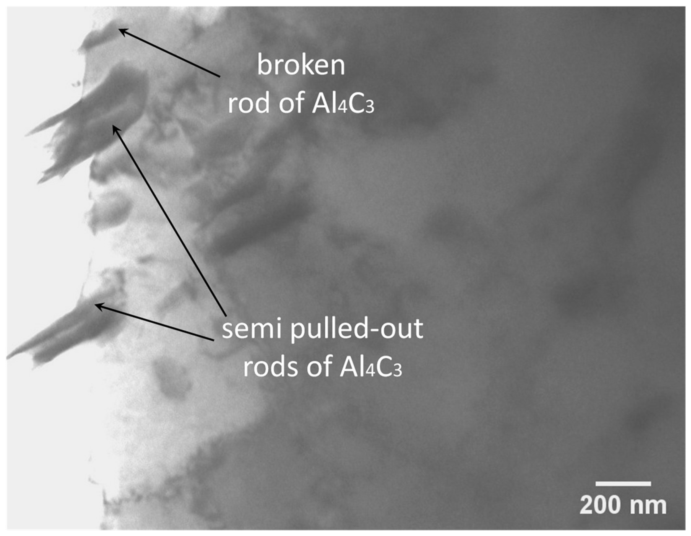 Metals 15 00285 g011