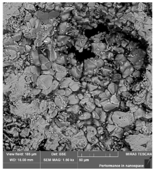 Metals 15 00289 i014