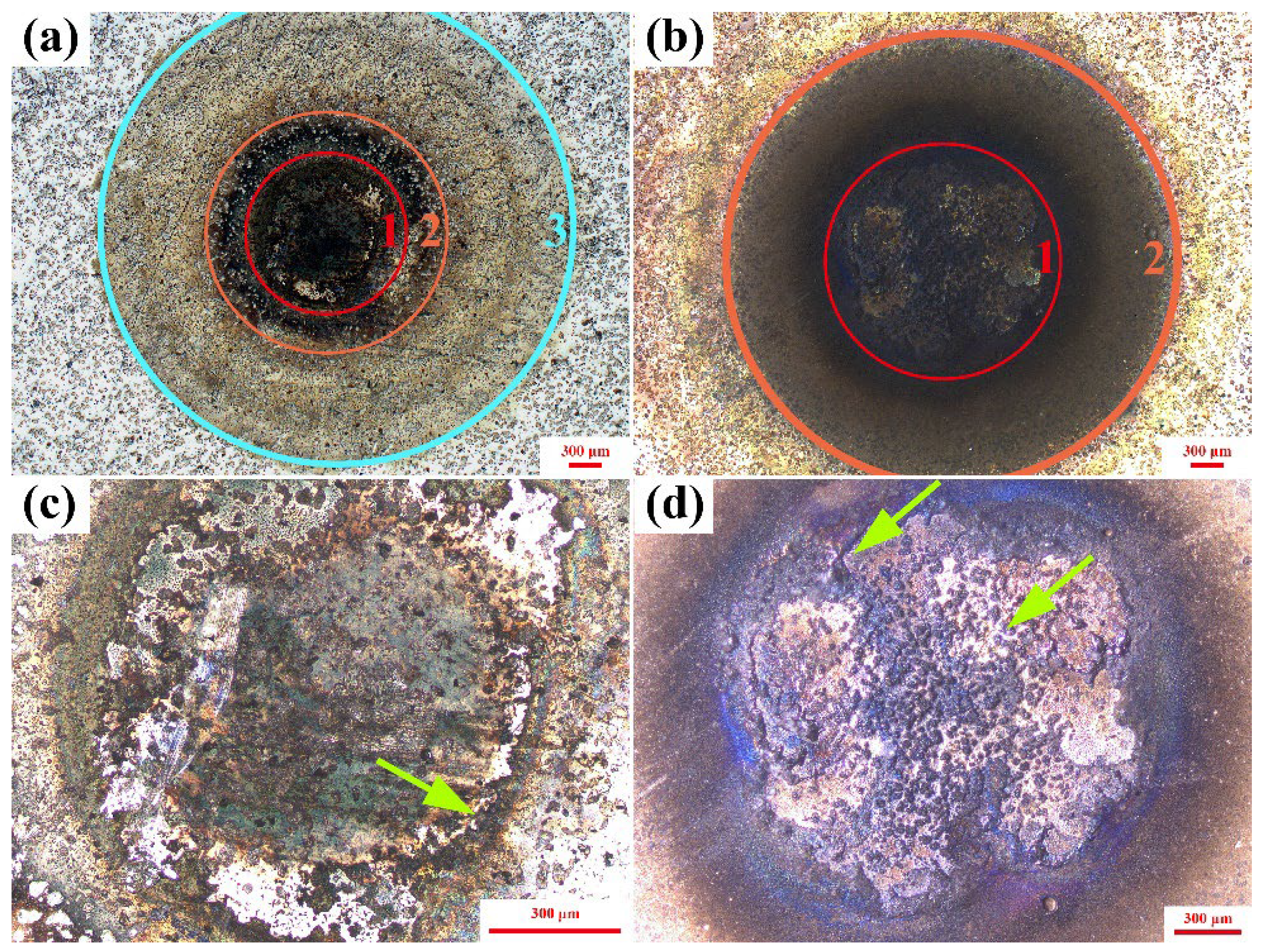 Metals 15 00293 g003