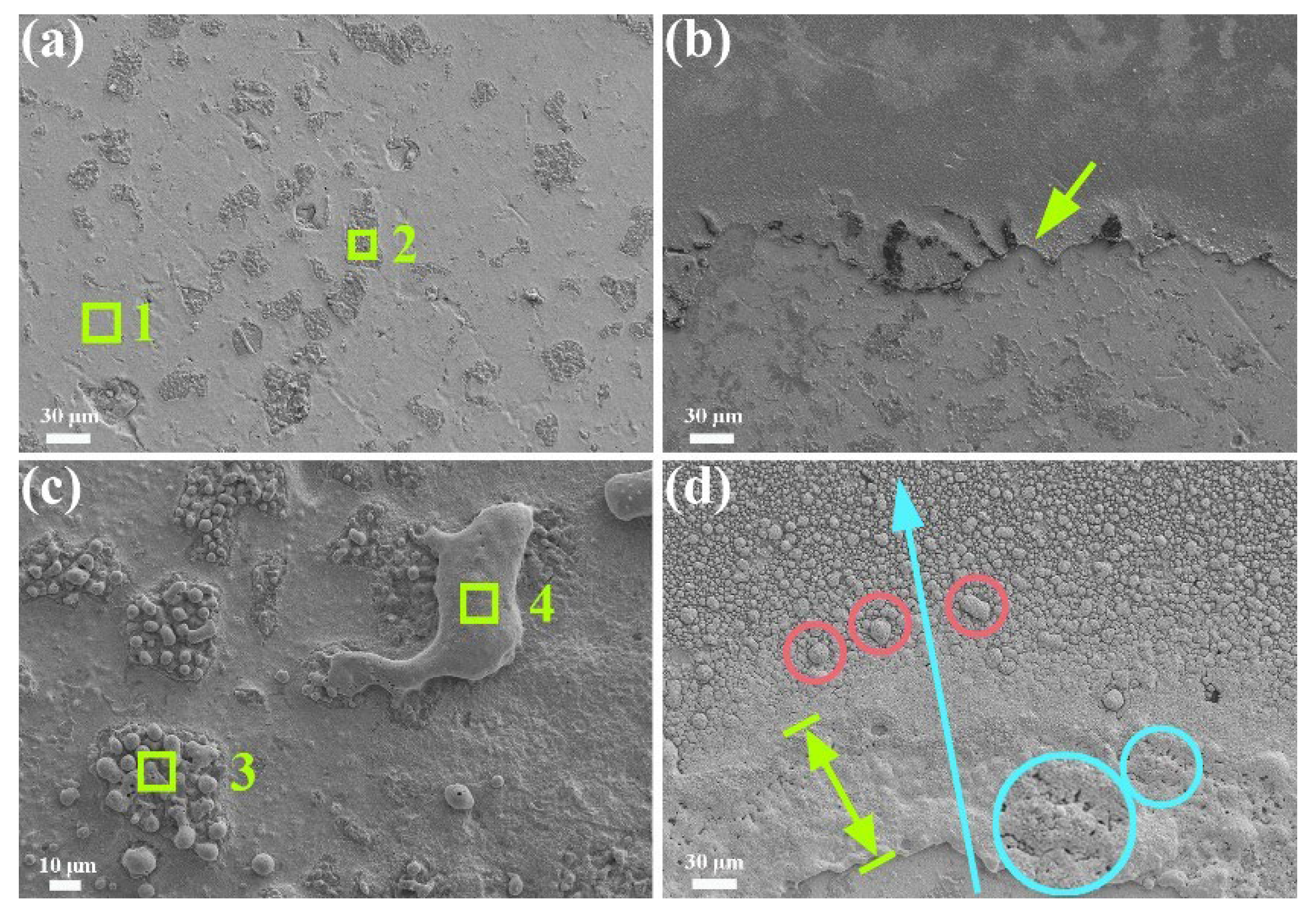 Metals 15 00293 g004