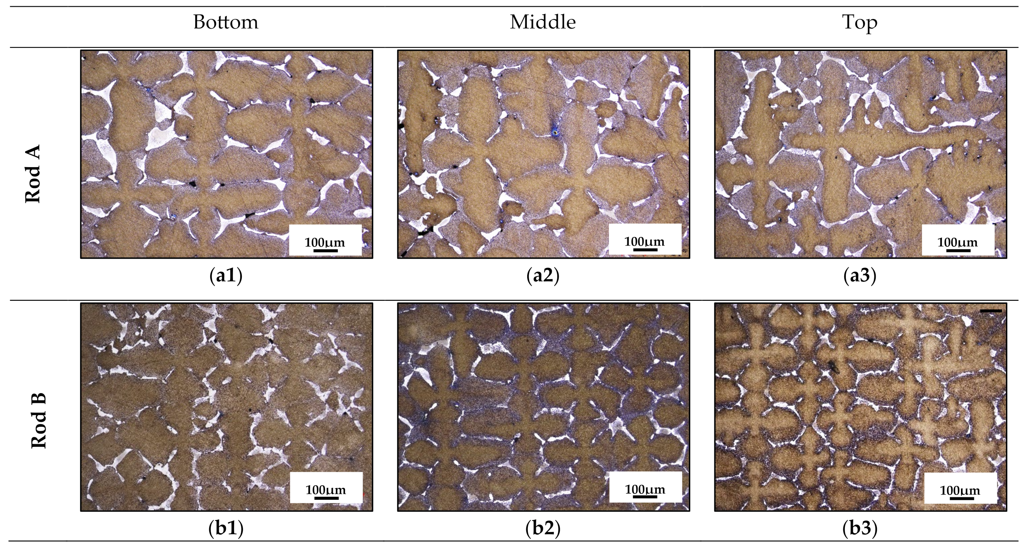 Metals 15 00295 g002