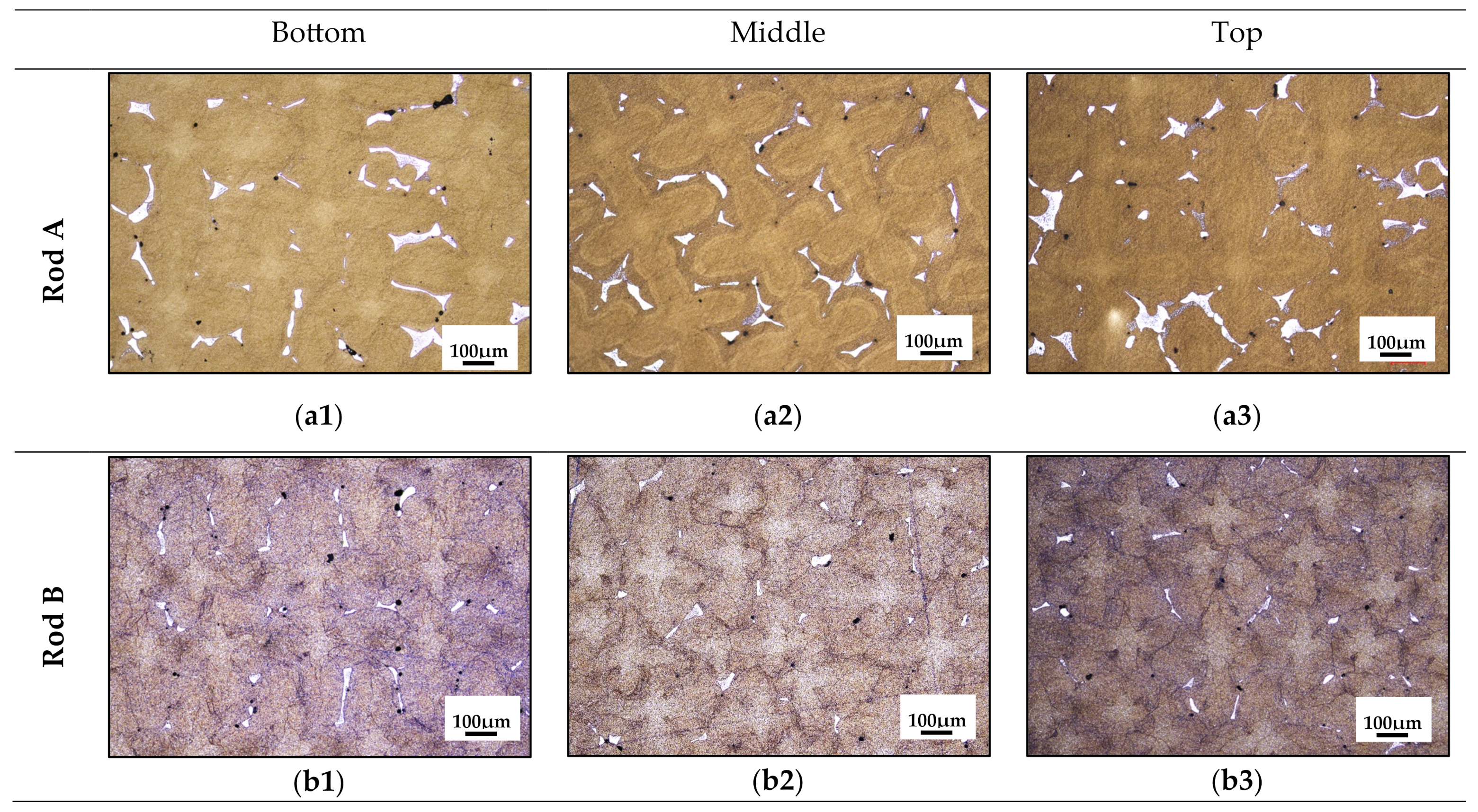 Metals 15 00295 g005