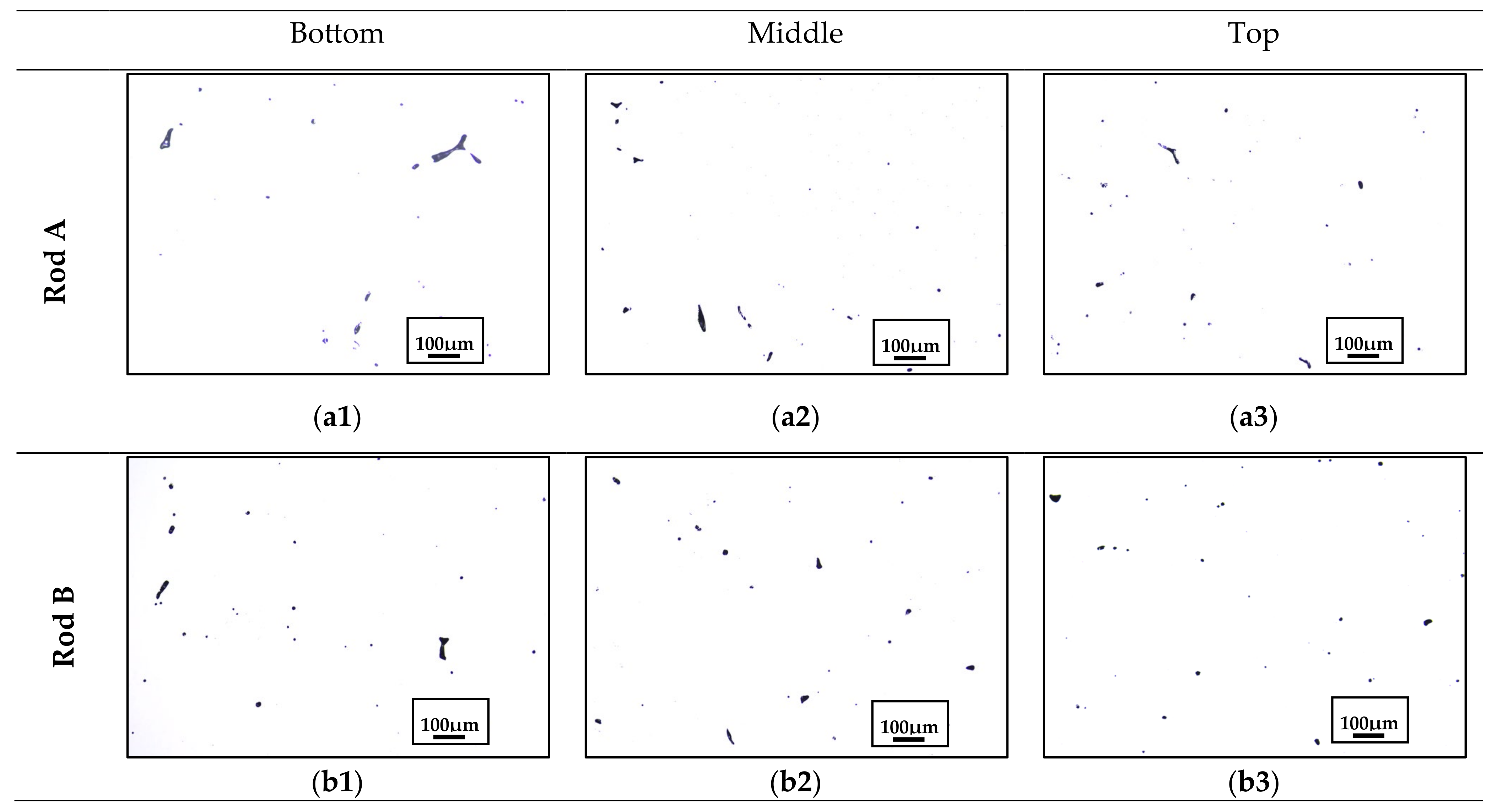 Metals 15 00295 g009