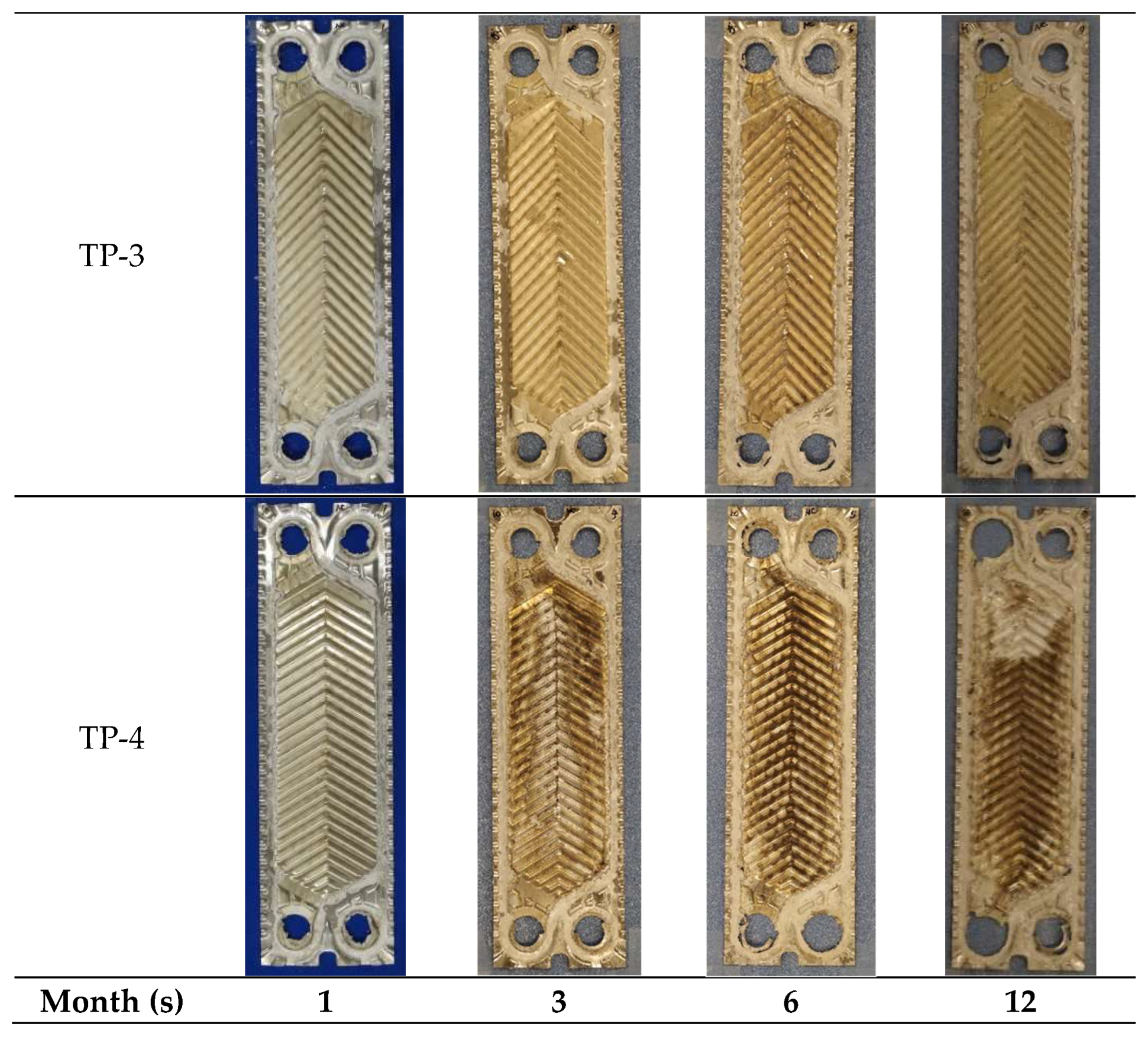 Metals 15 00300 g007b