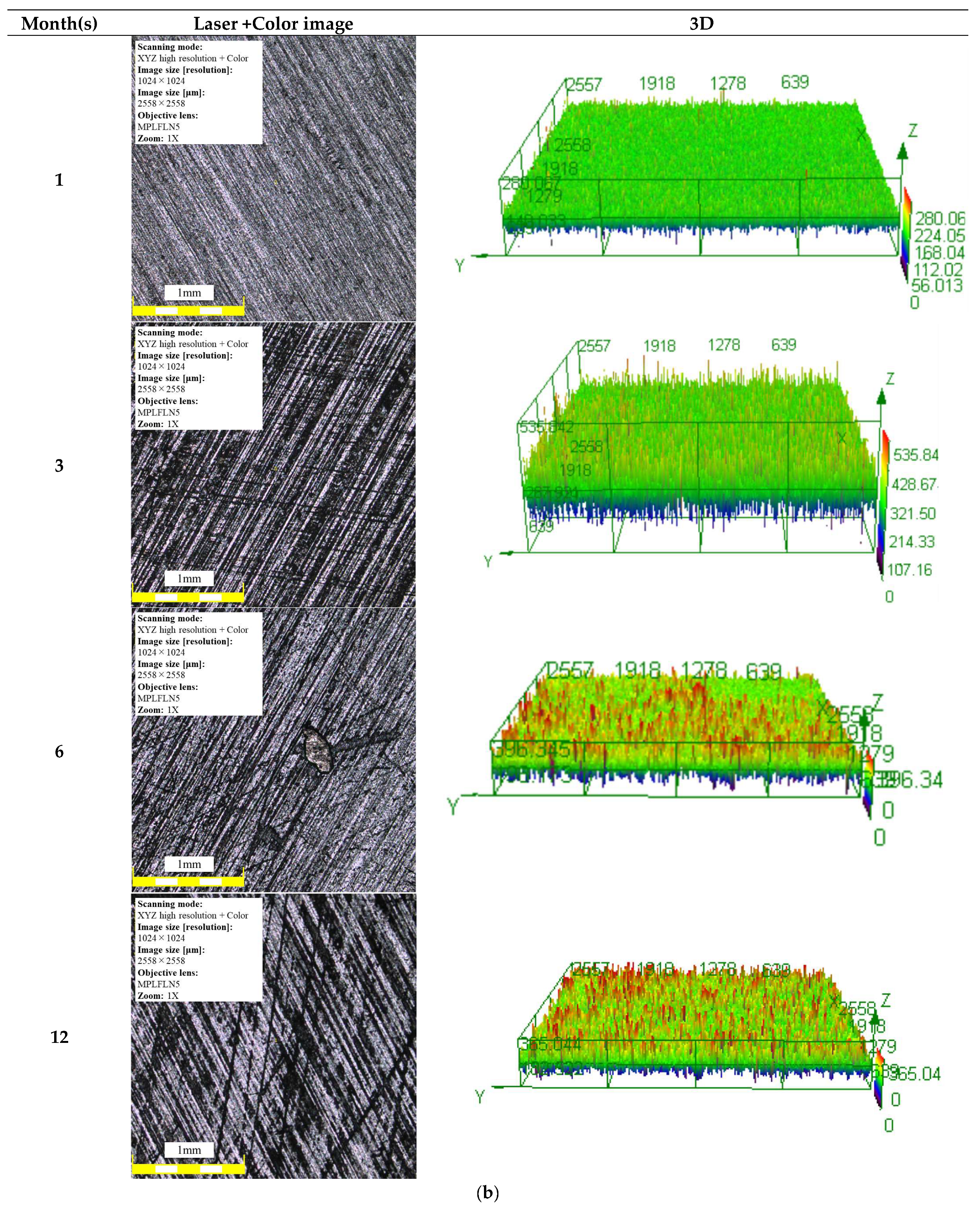 Metals 15 00300 g008b