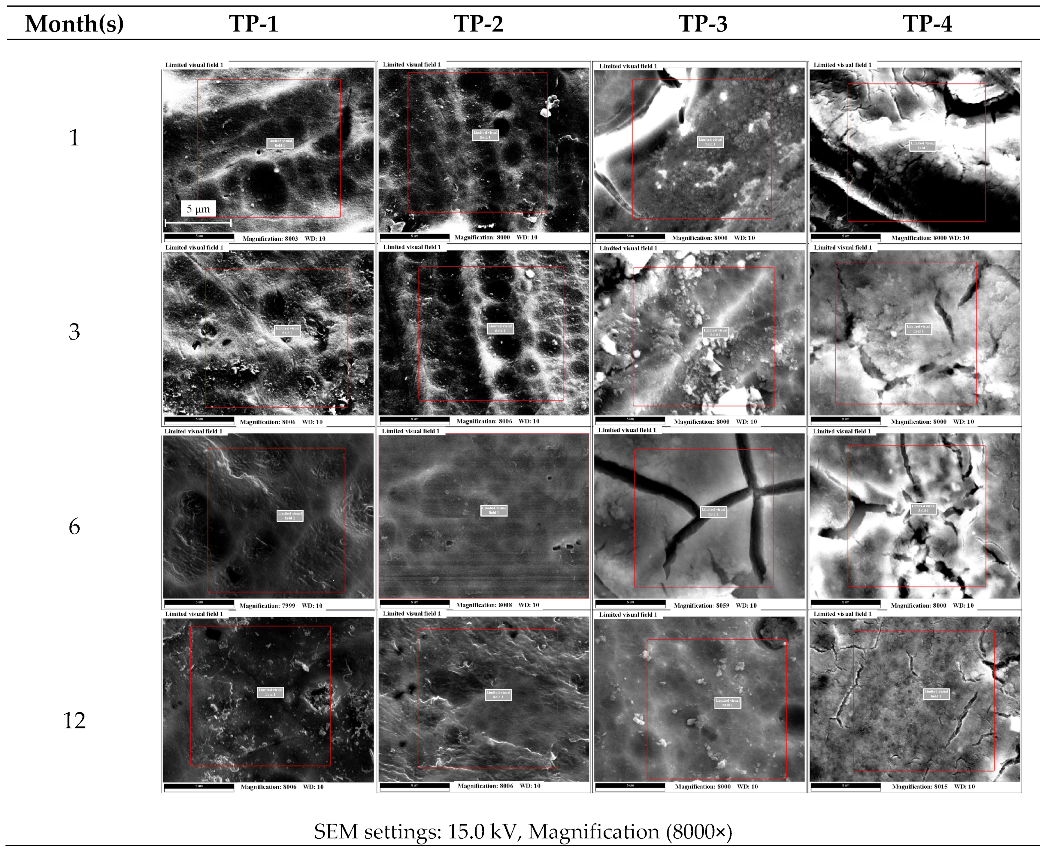Metals 15 00300 g010