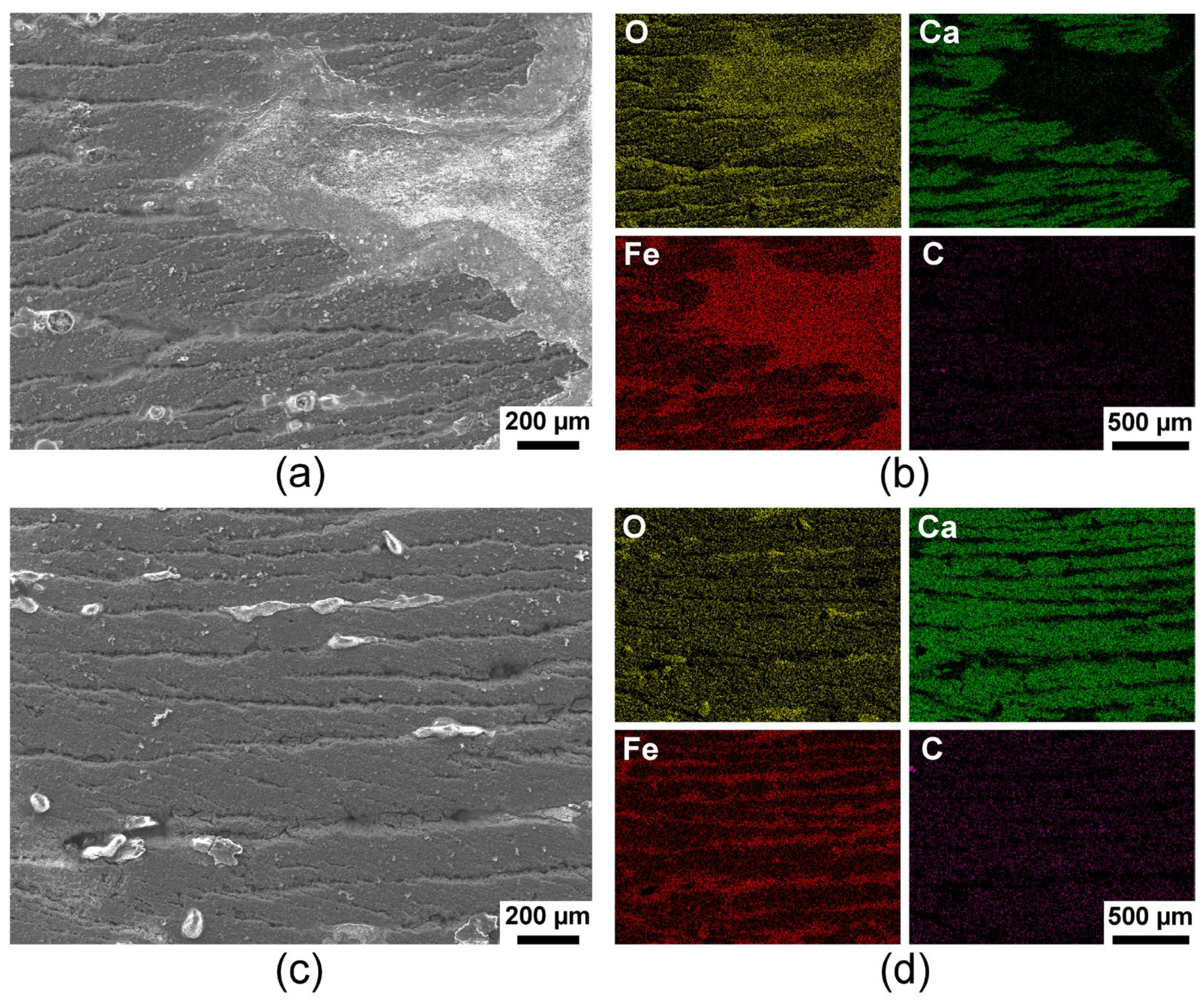 Metals 15 00302 g010