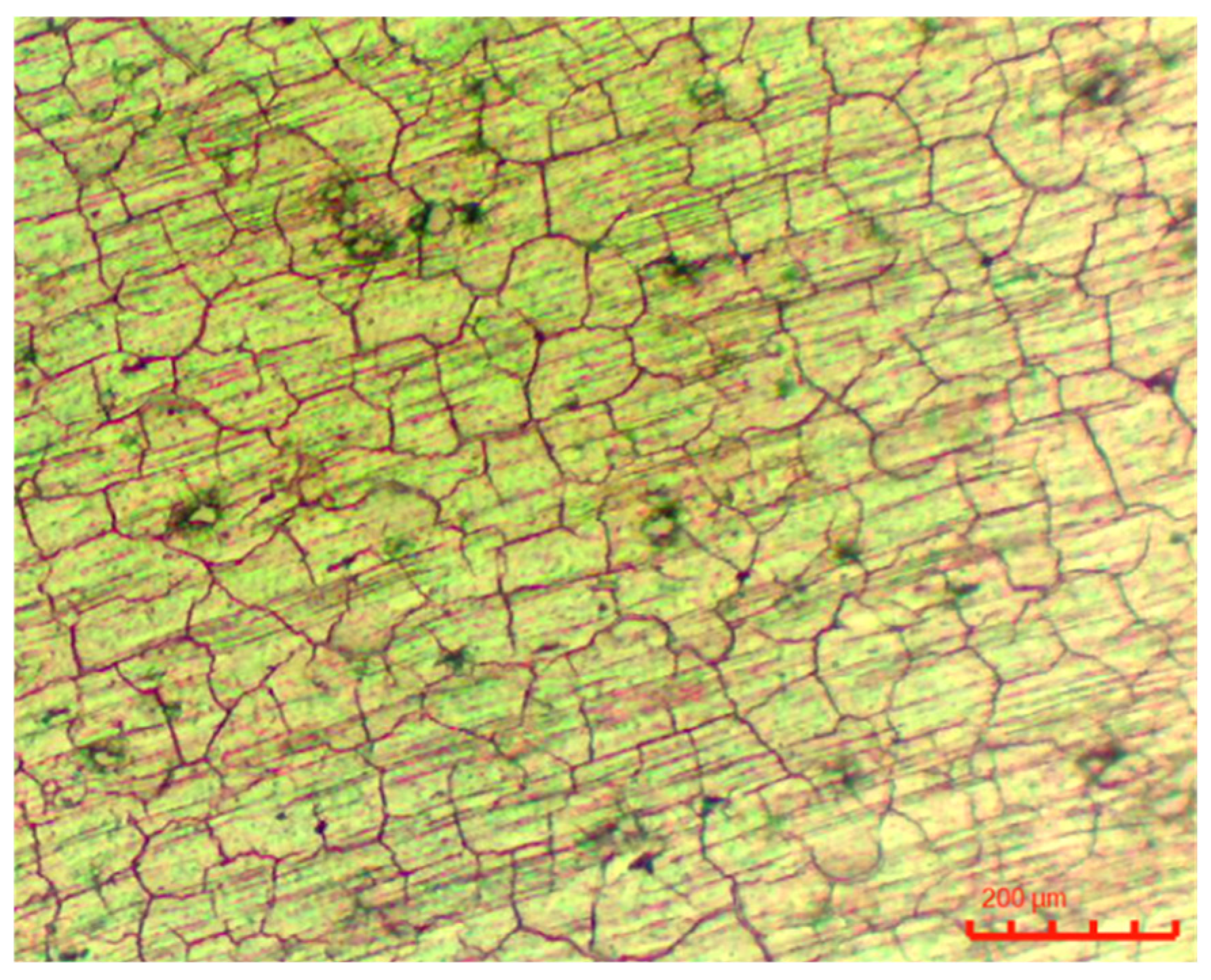 Metals 15 00308 g006 Metals 15 00308 g006