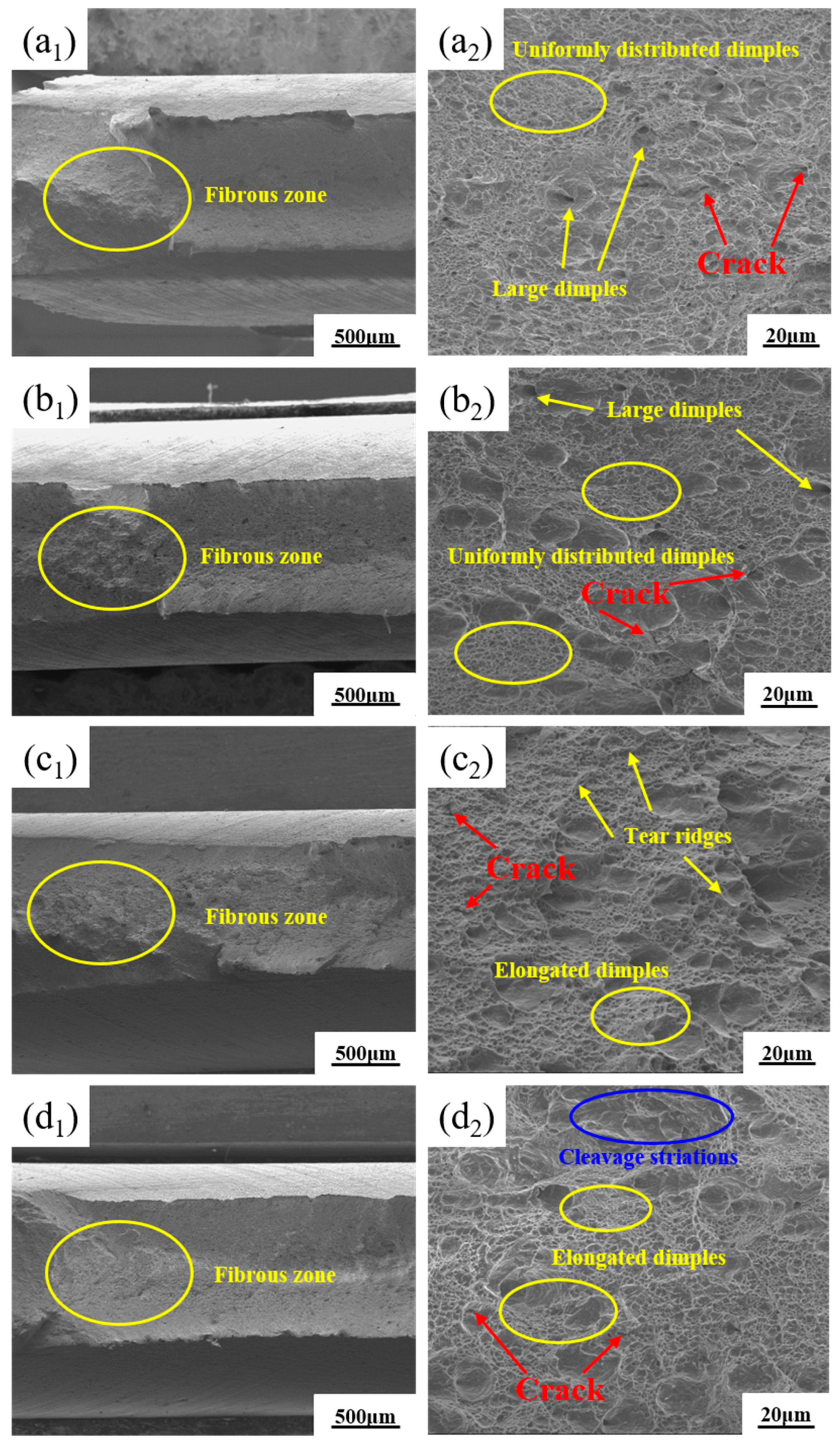 Metals 15 00310 g011
