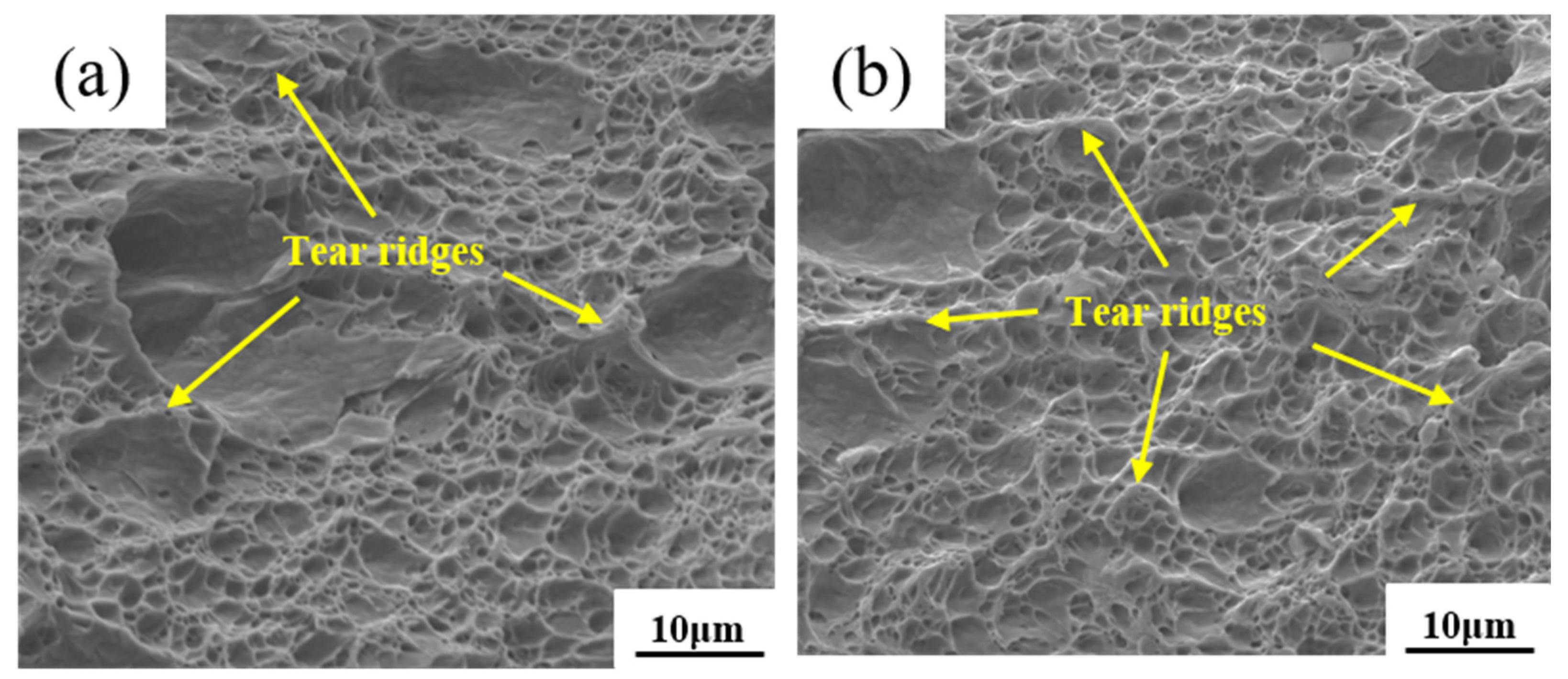 Metals 15 00310 g012