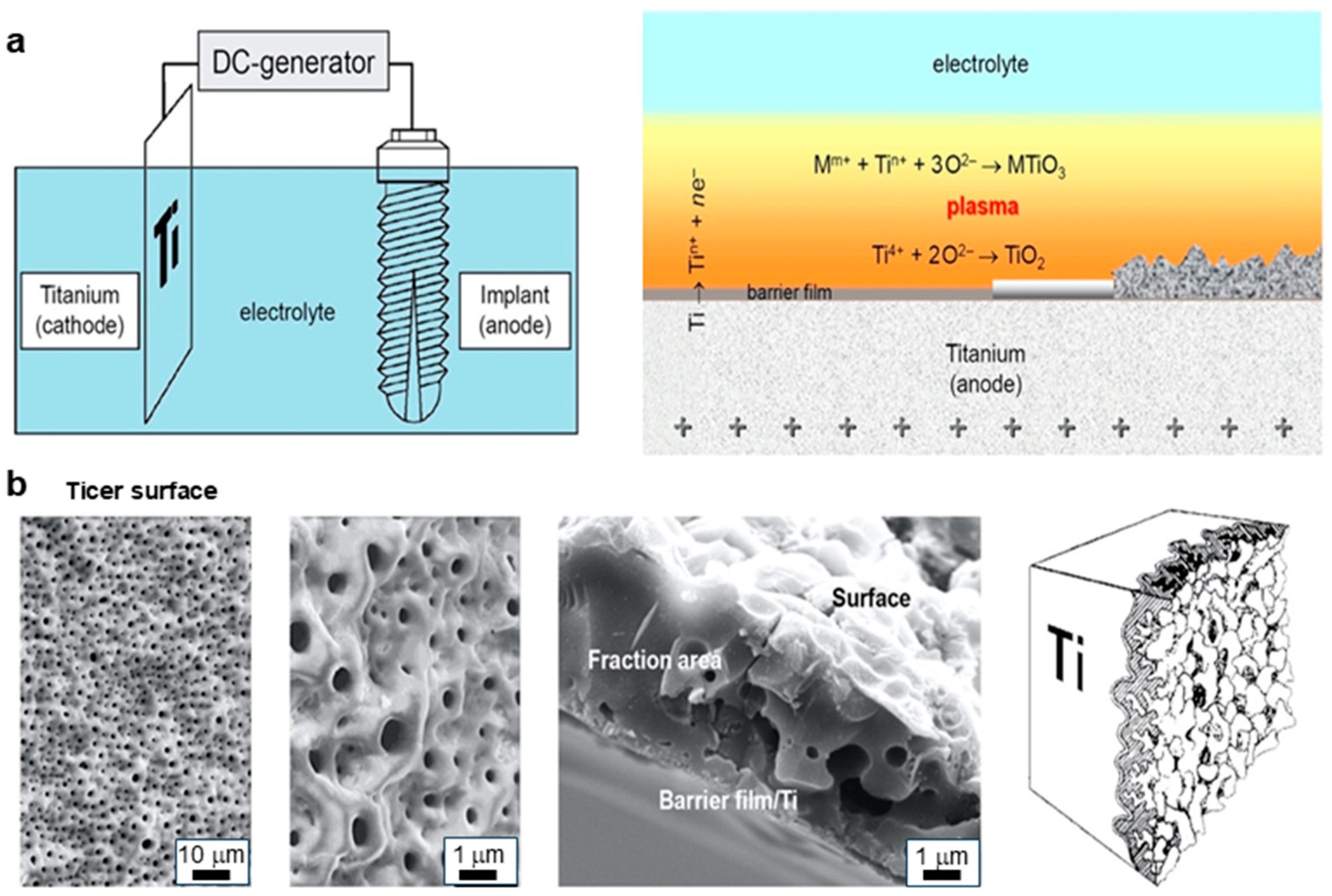 Metals 15 00320 g002