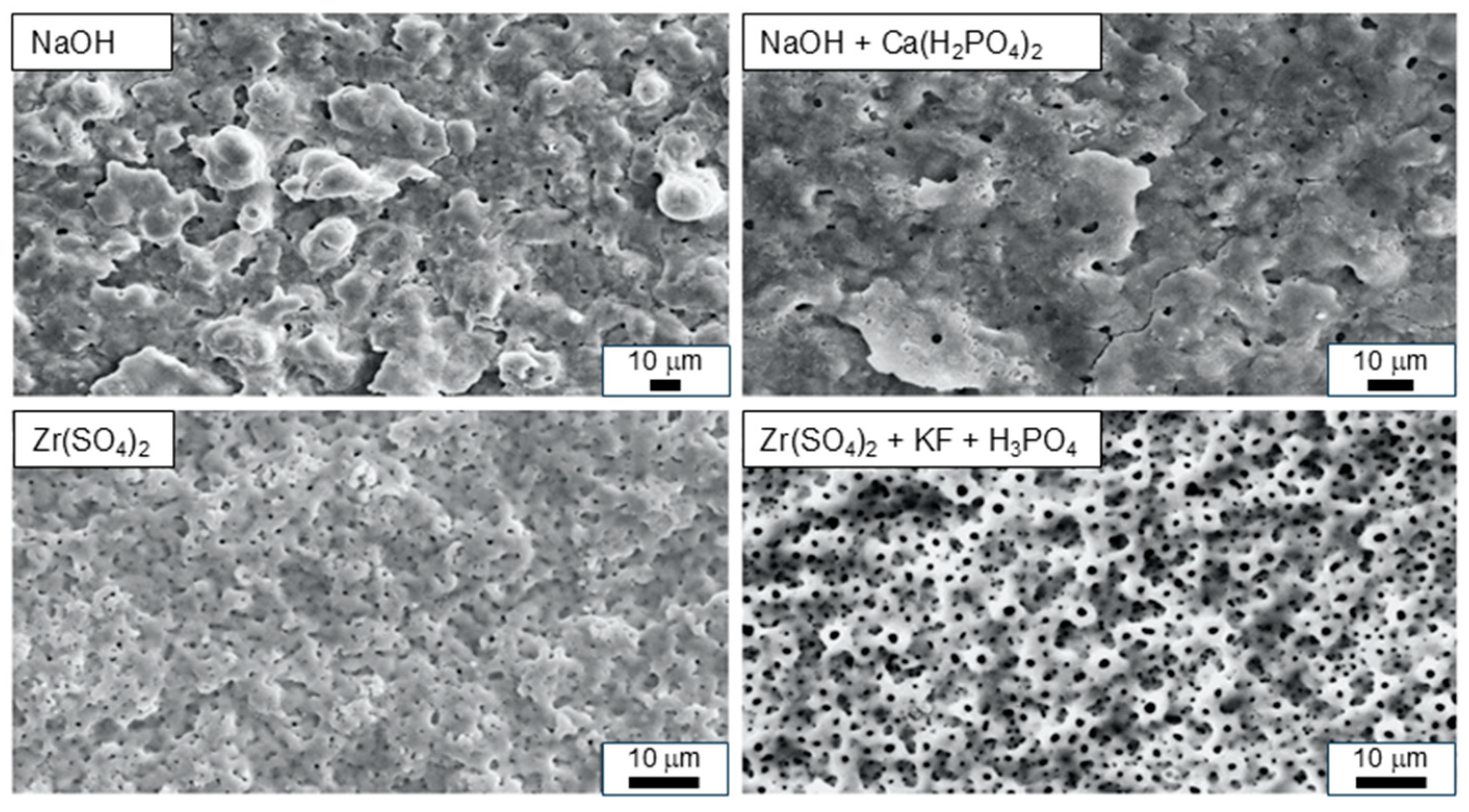 Metals 15 00320 g003