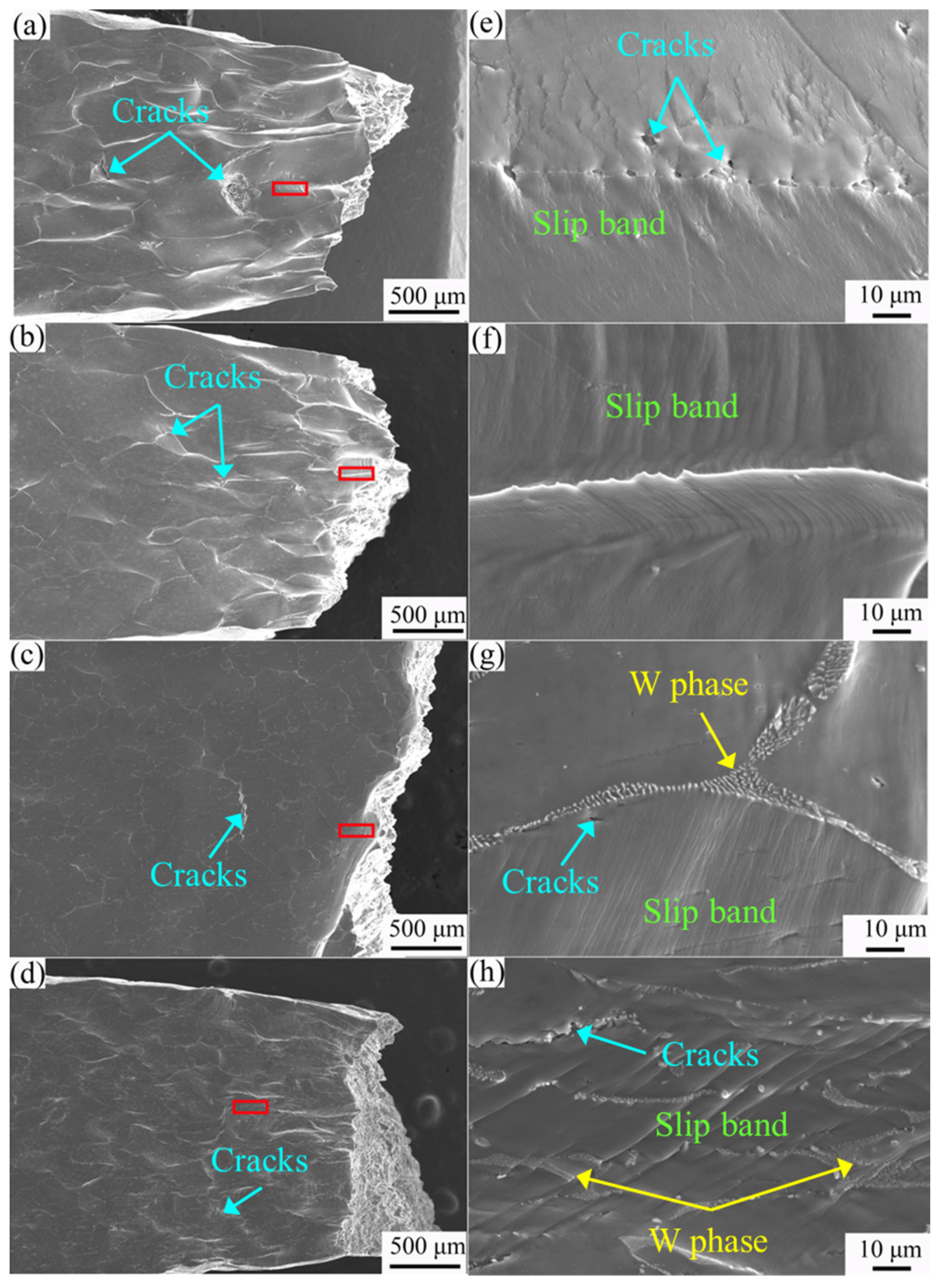 Metals 15 00321 g010