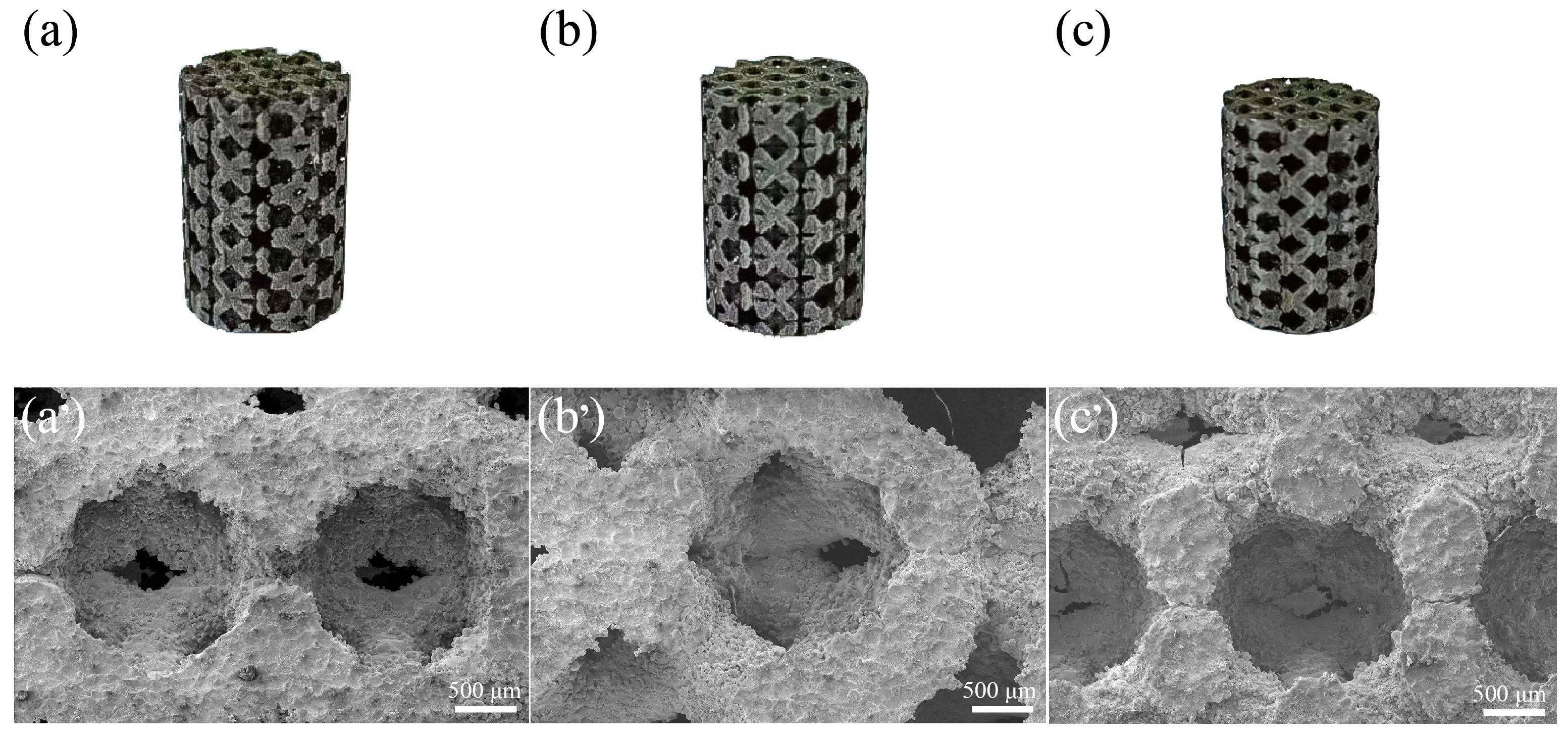 Metals 15 00335 g013