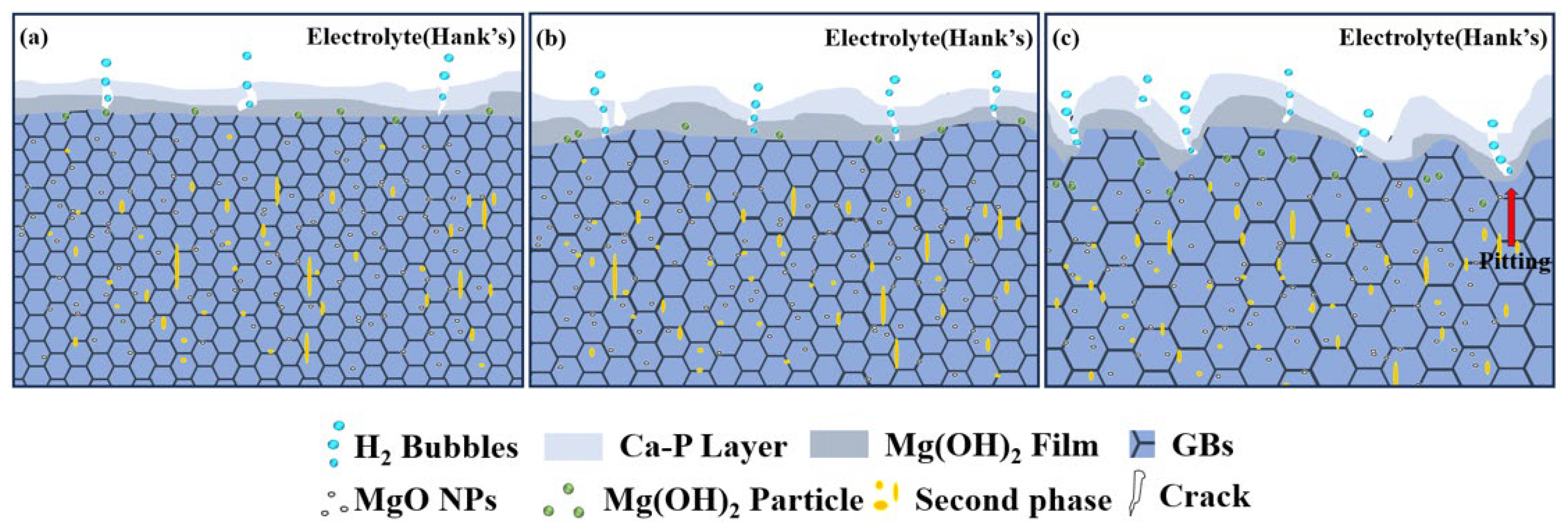 Metals 15 00337 g014