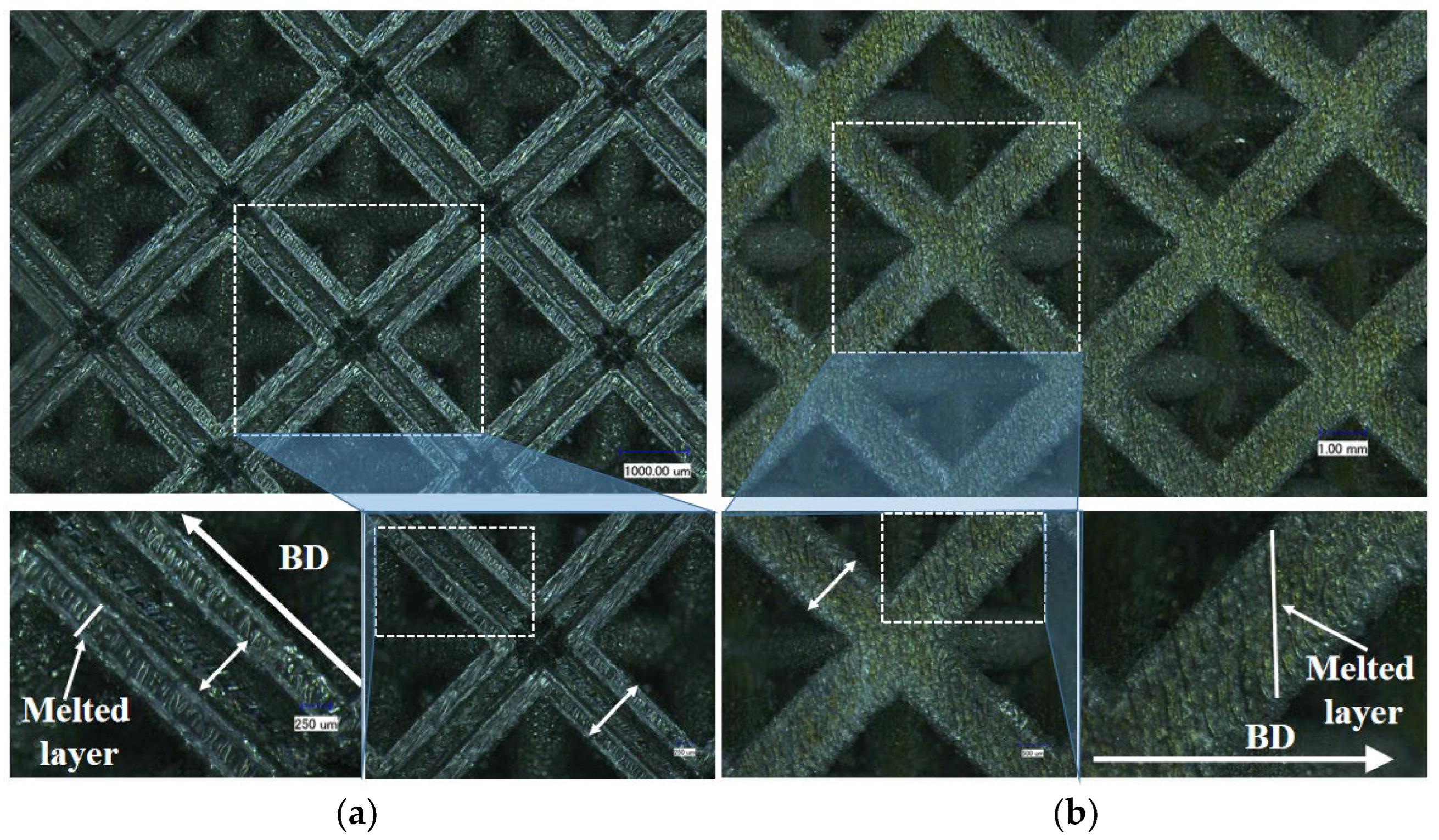 Metals 15 00341 g002