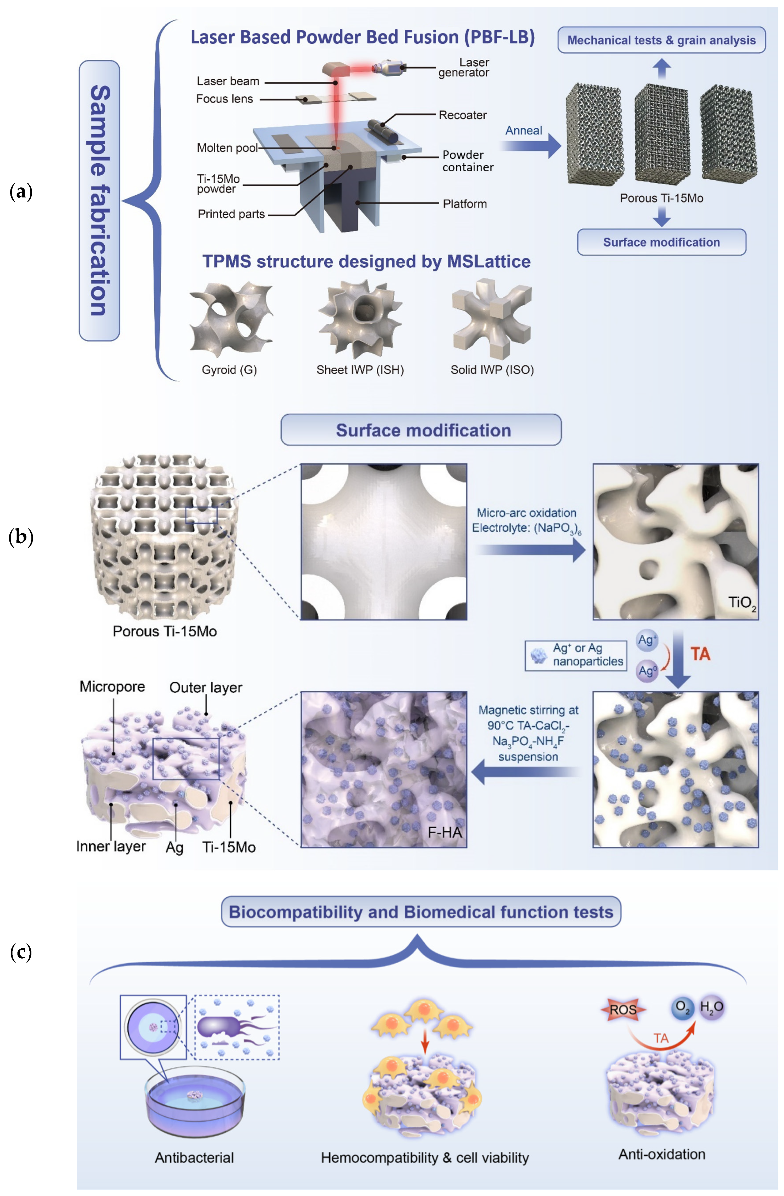 Metals 15 00355 g002