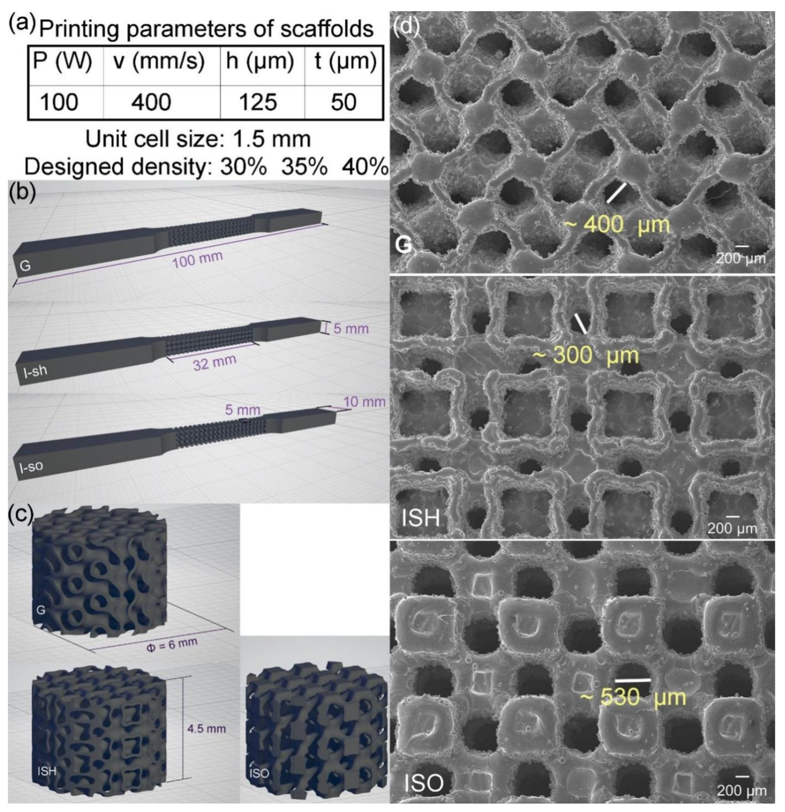 Metals 15 00355 g003