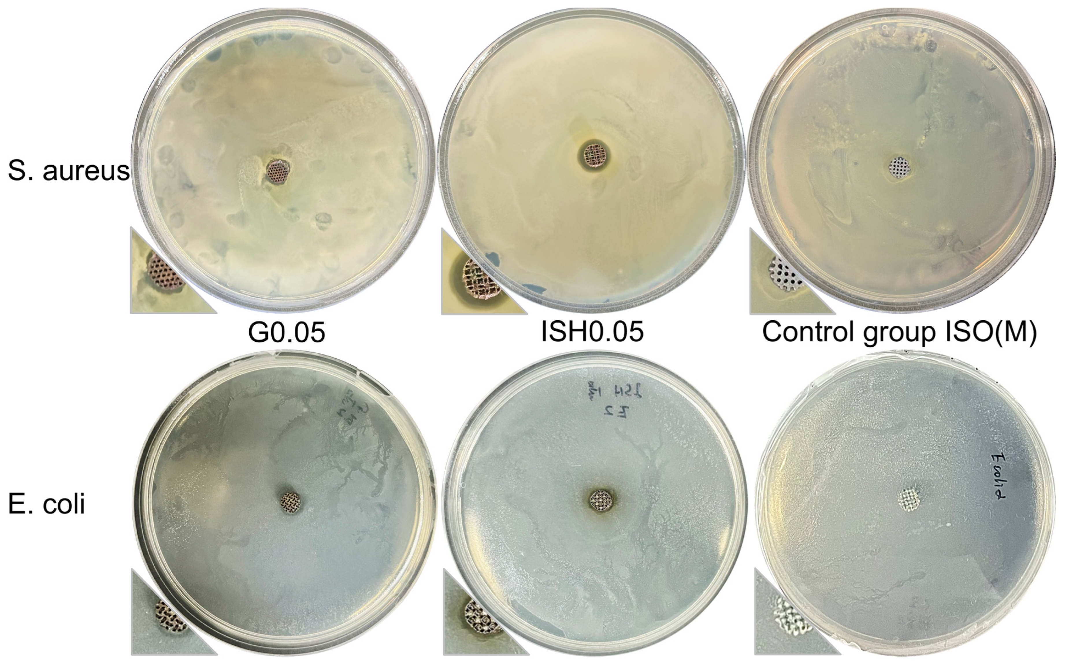 Metals 15 00355 g014