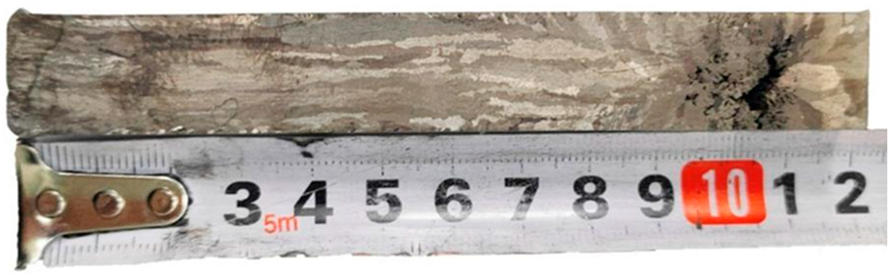 Metals 15 00366 g016 Metals 15 00366 g016