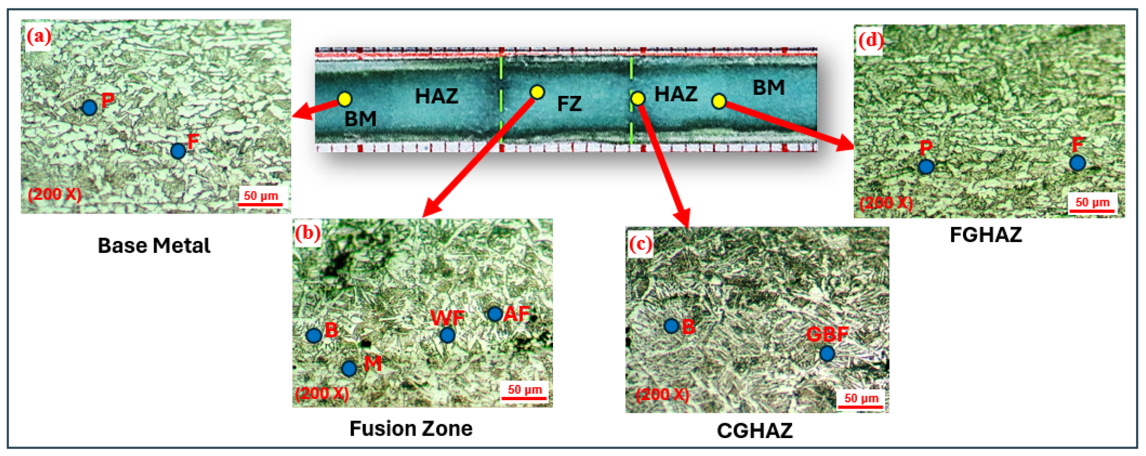 Metals 15 00399 g012