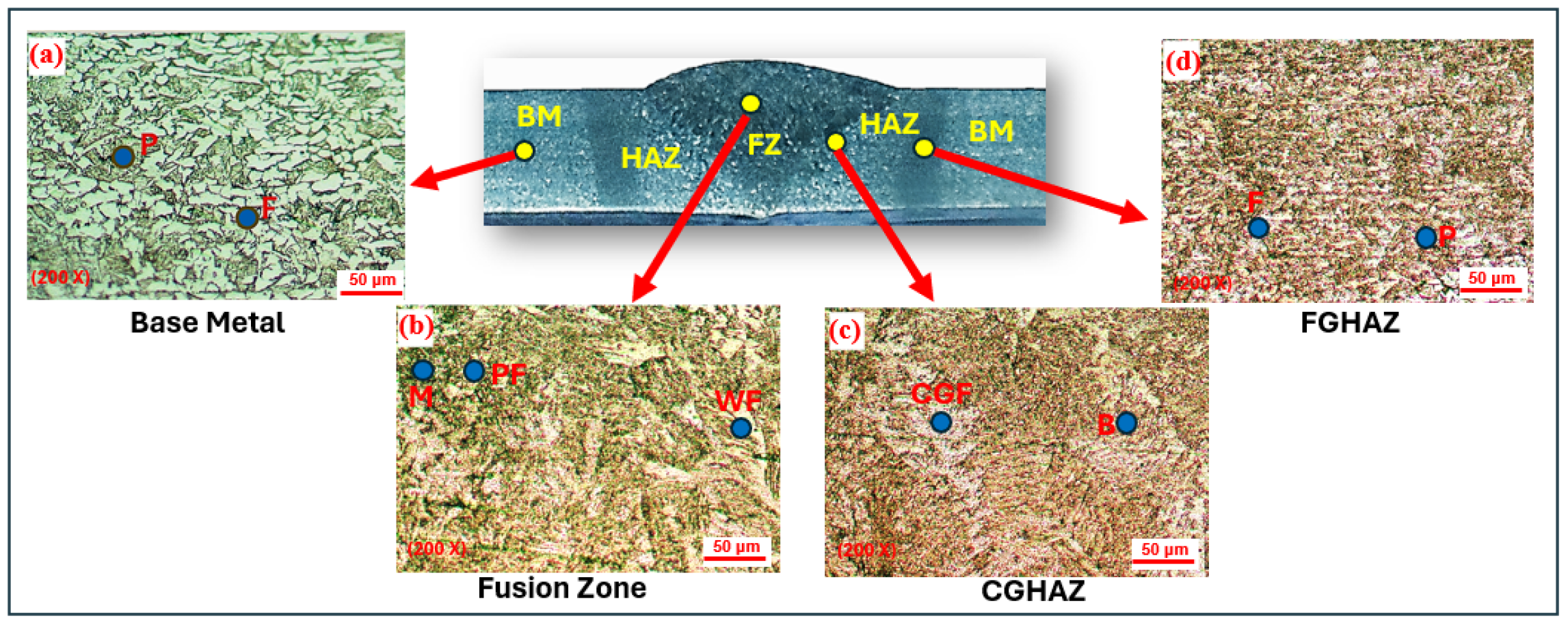 Metals 15 00399 g013