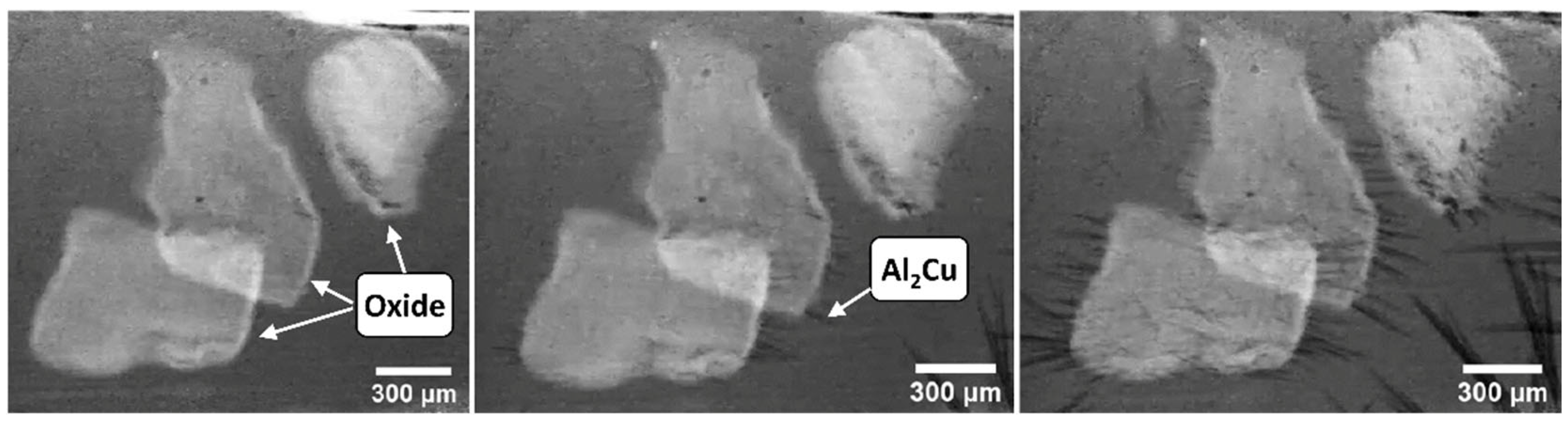 Metals 15 00404 g011