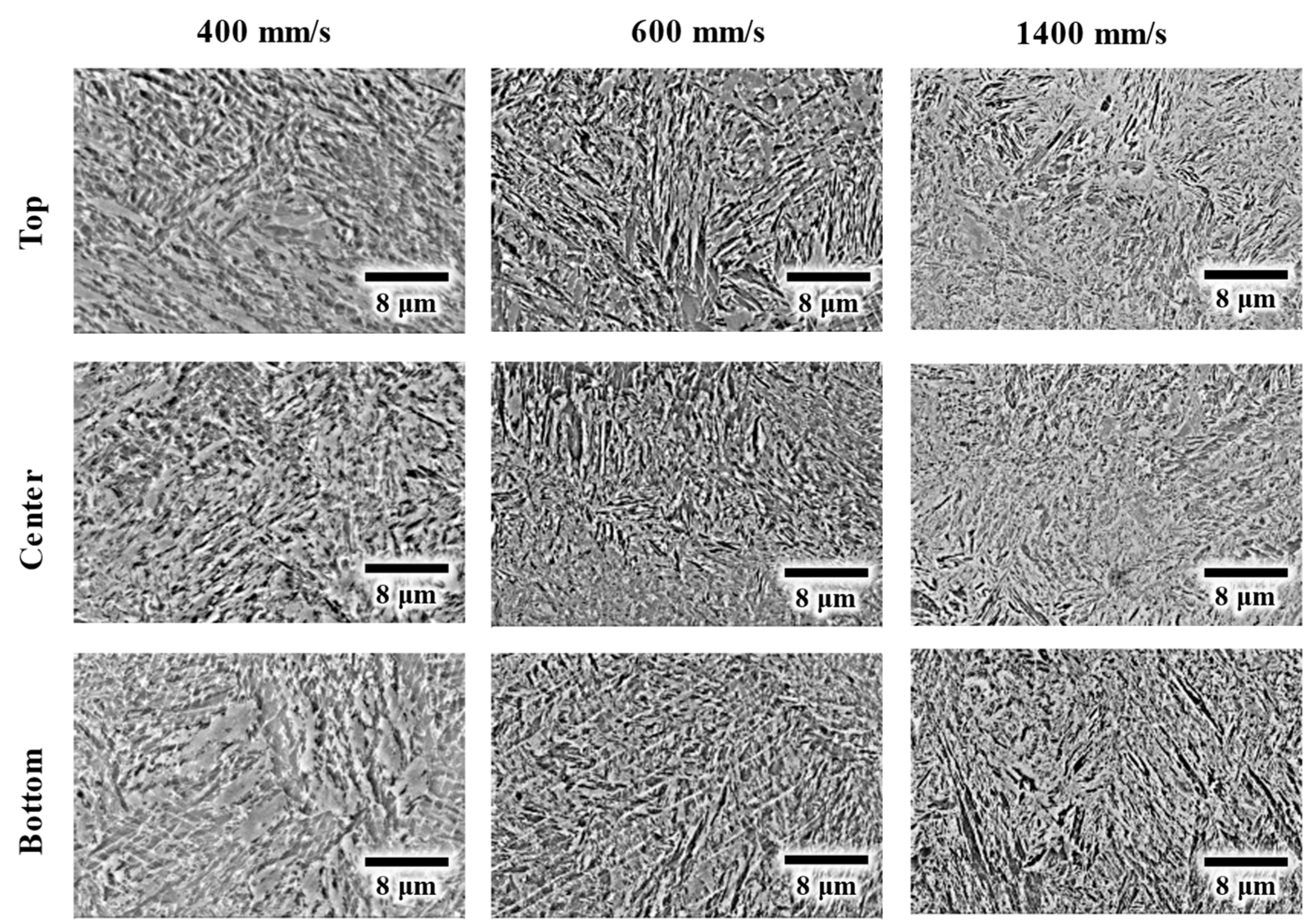 Metals 15 00412 g010