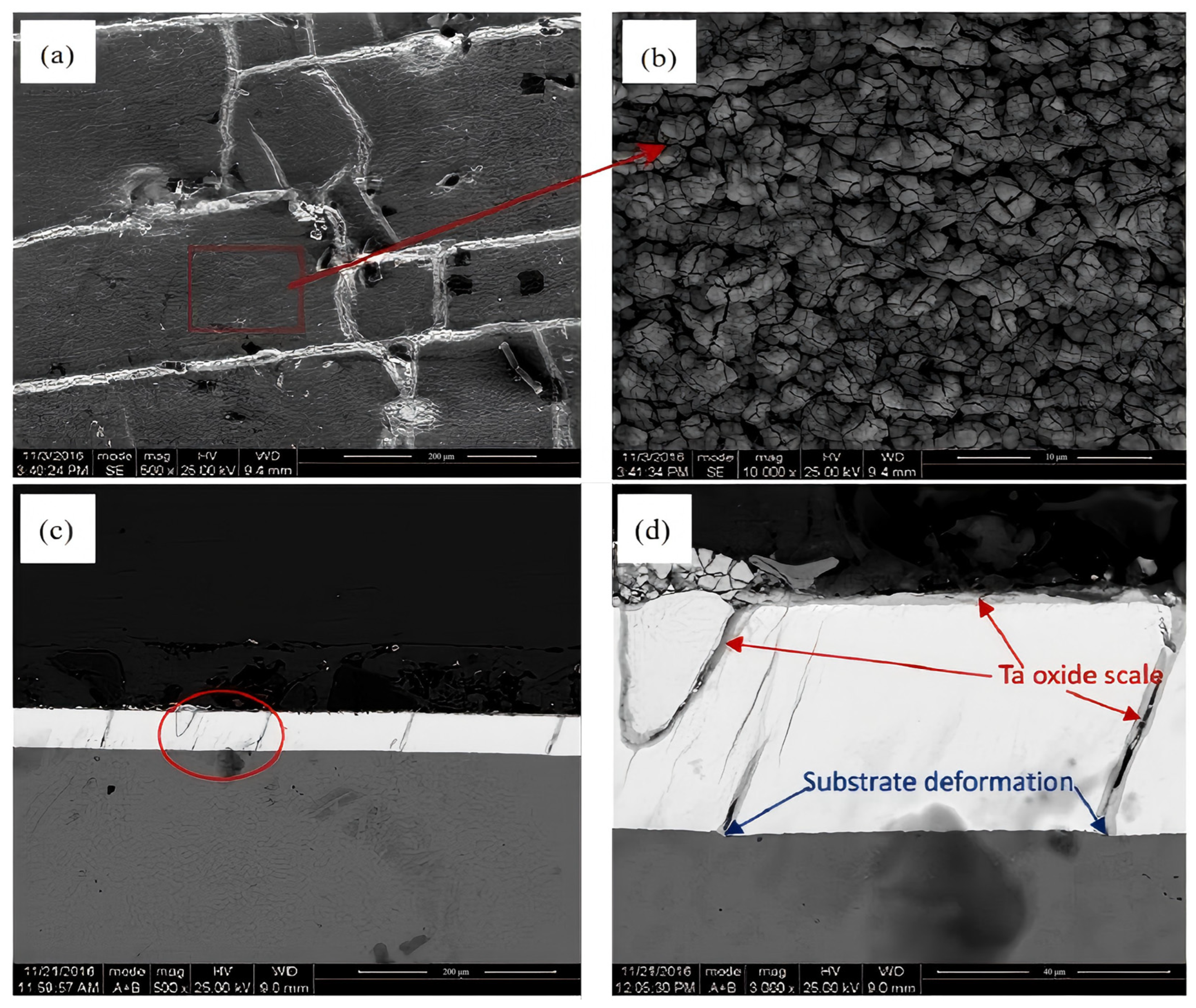 Metals 15 00416 g005