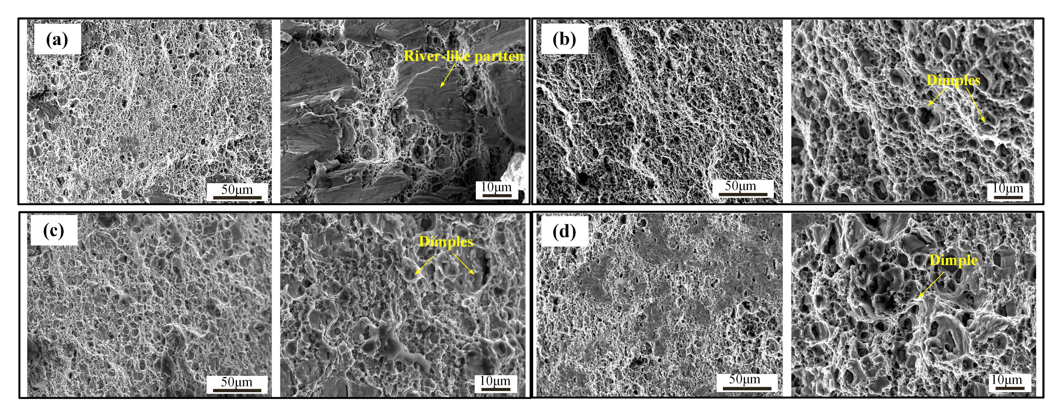 Metals 15 00441 g012