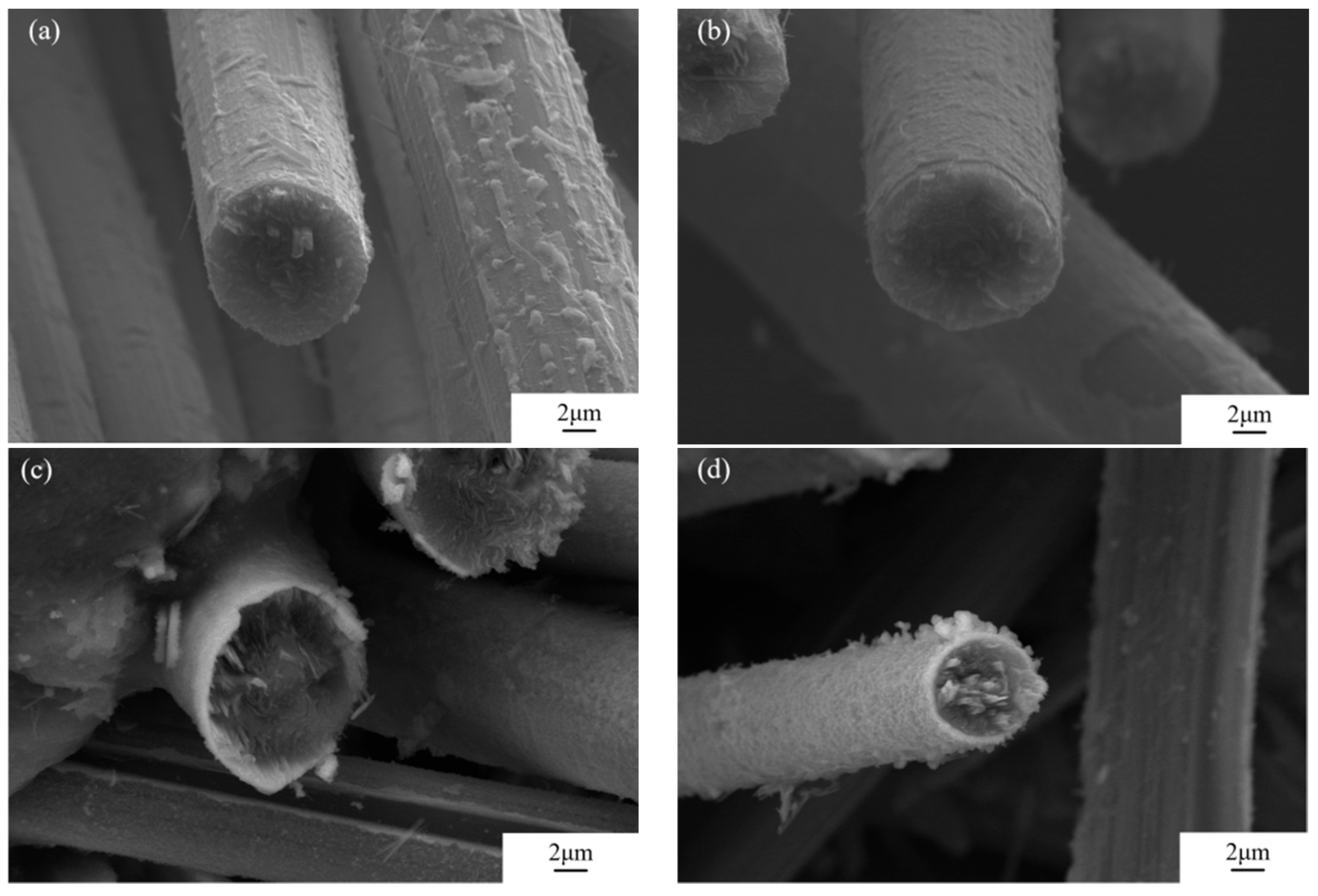 Metals 15 00459 g003