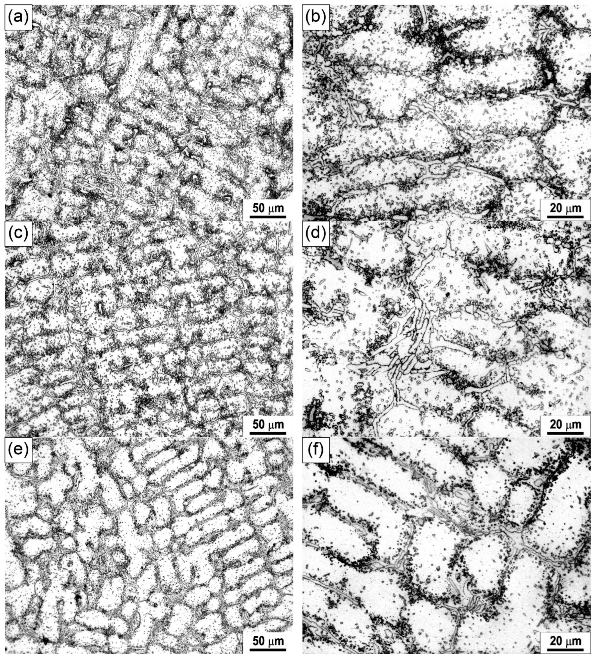 Metals 15 00486 g010
