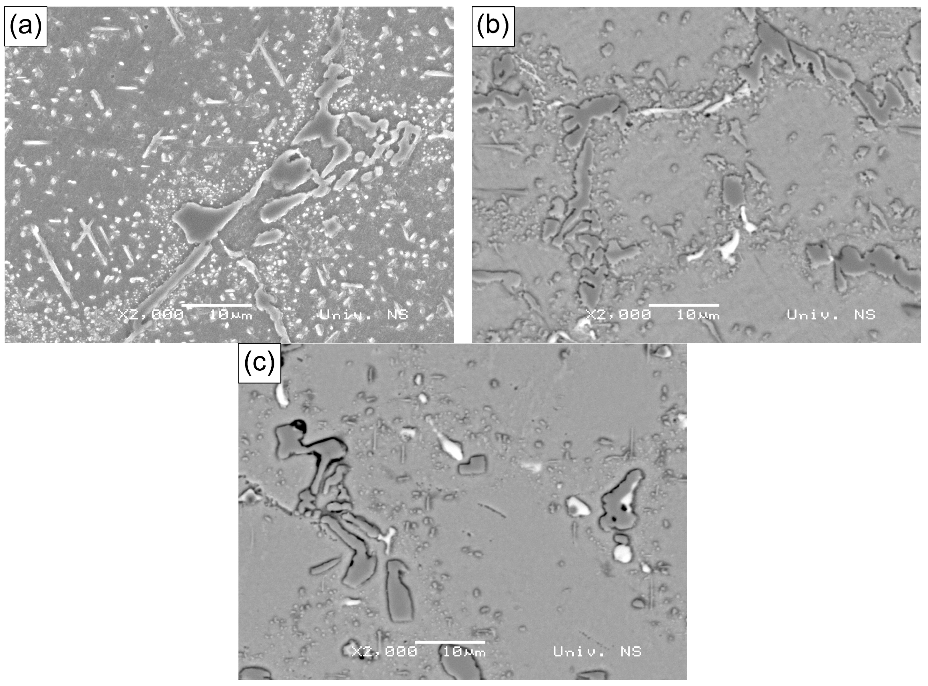 Metals 15 00486 g014