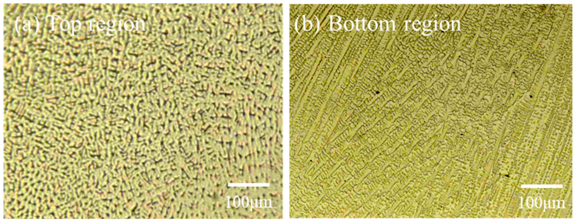 Metals 15 00491 g008