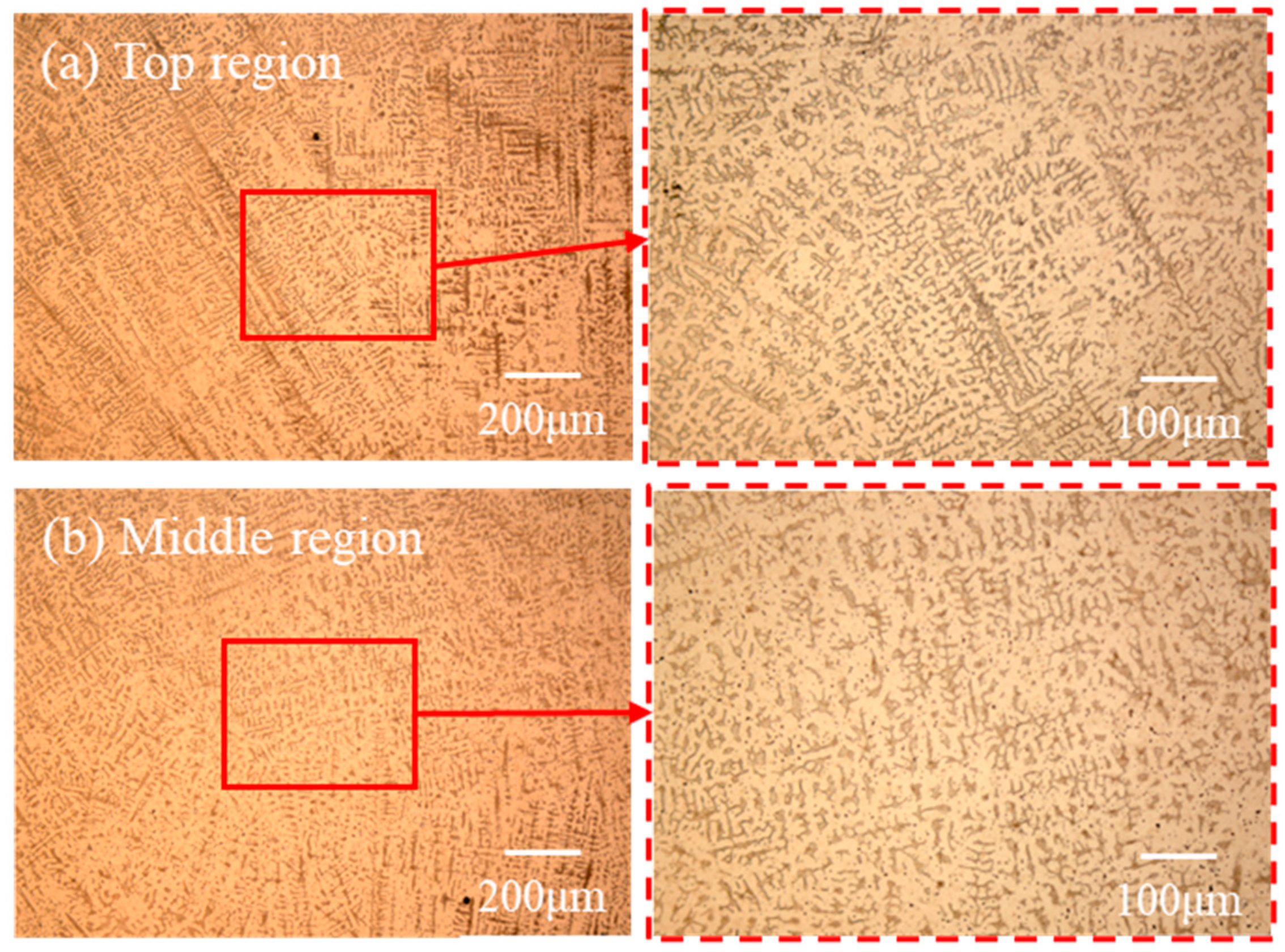 Metals 15 00491 g010