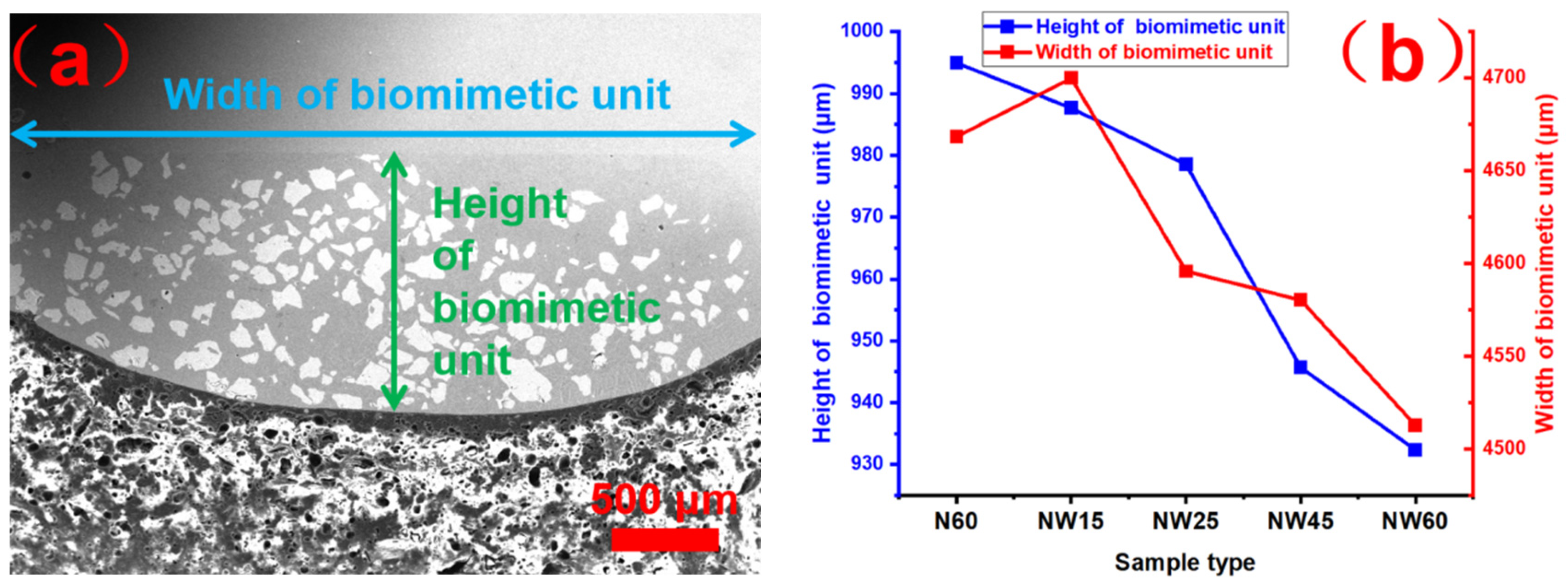 Metals 15 00507 g002