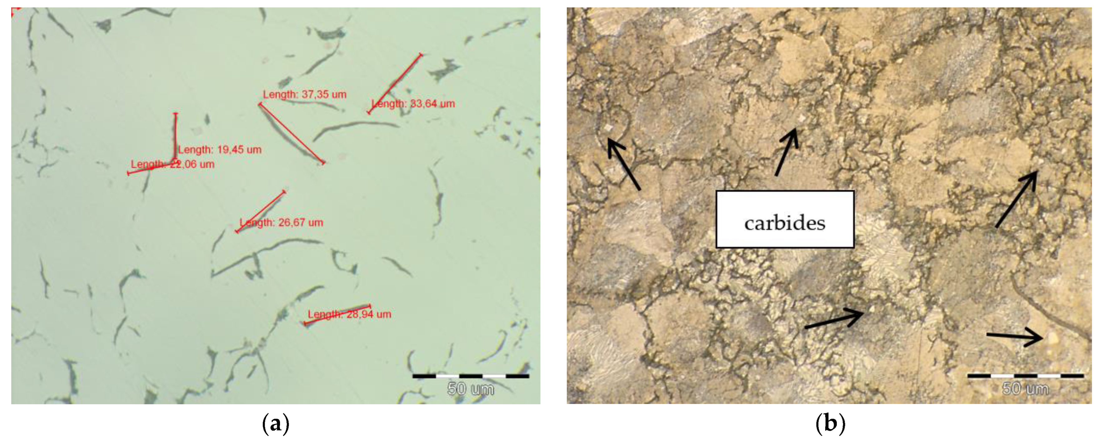Metals 15 00520 g006