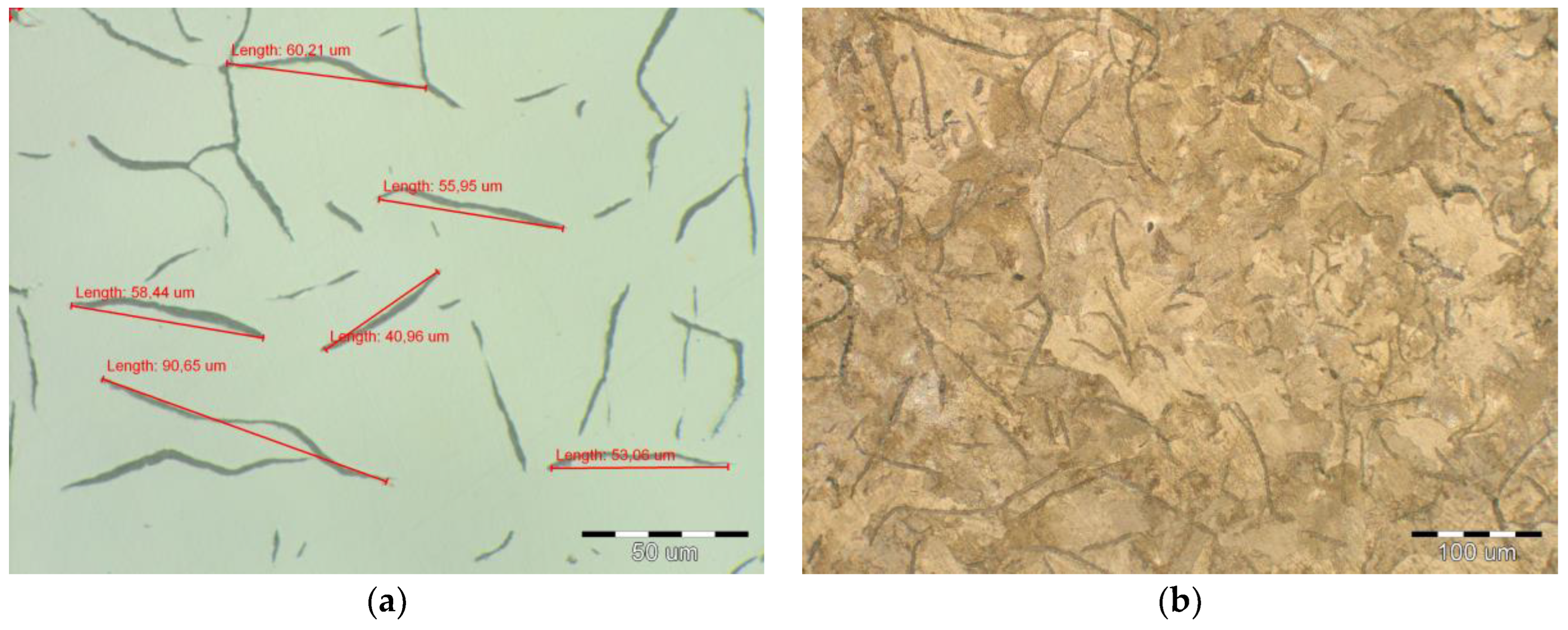 Metals 15 00520 g007