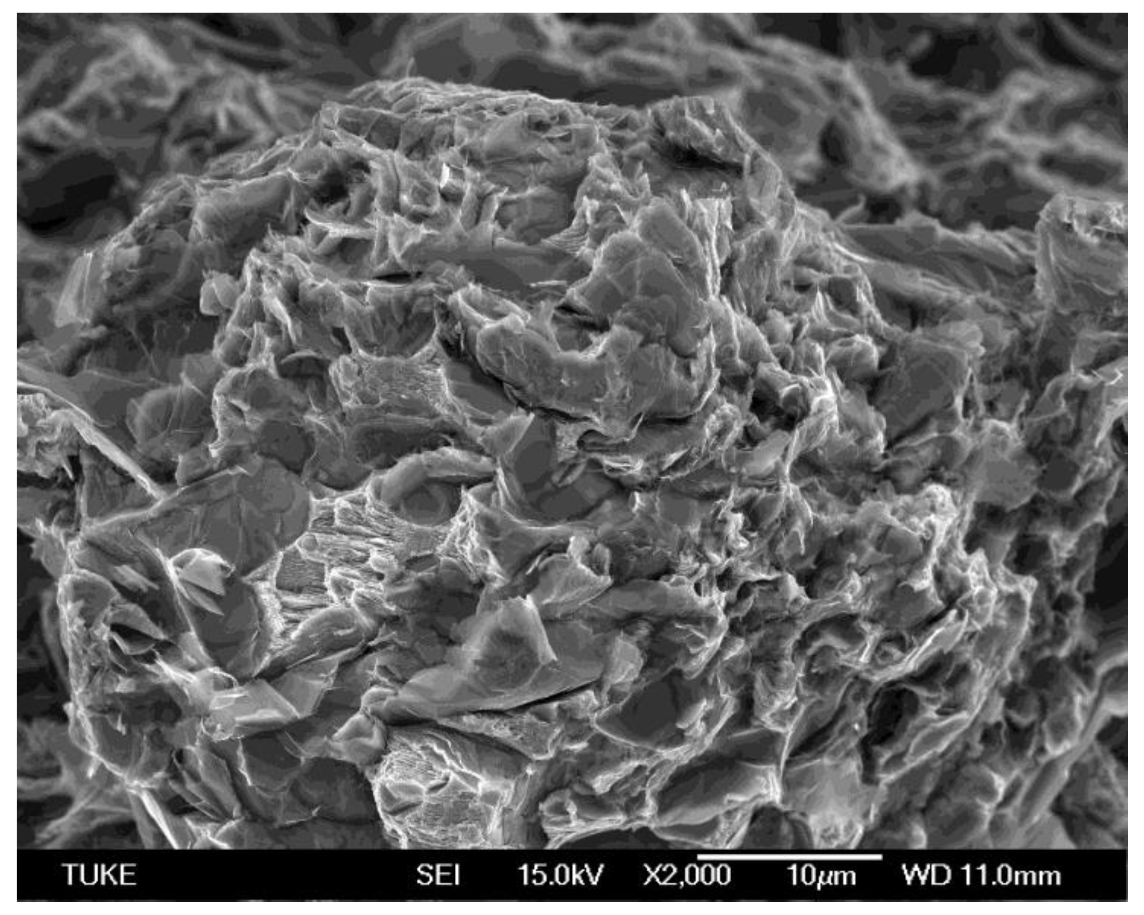 Metals 15 00520 g009