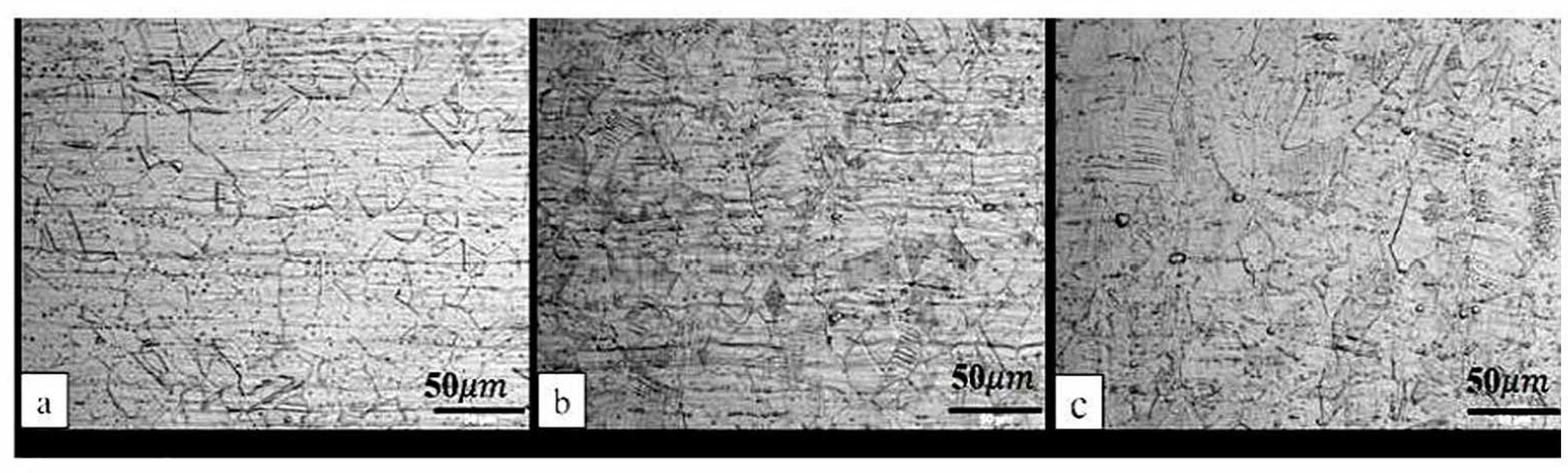 Metals 15 00558 g002