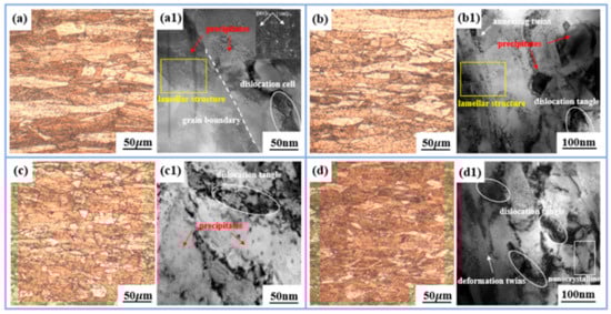 Metals 15 00564 g005