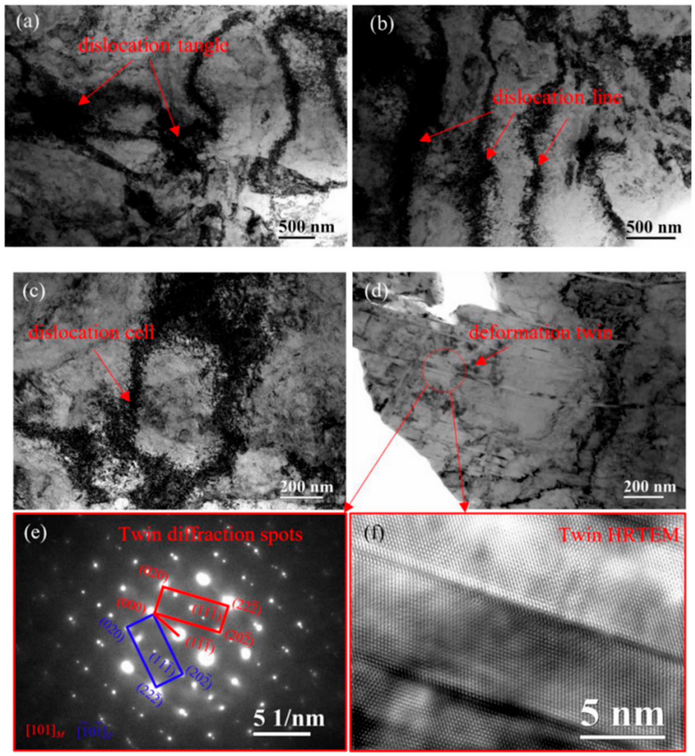 Metals 15 00564 g006
