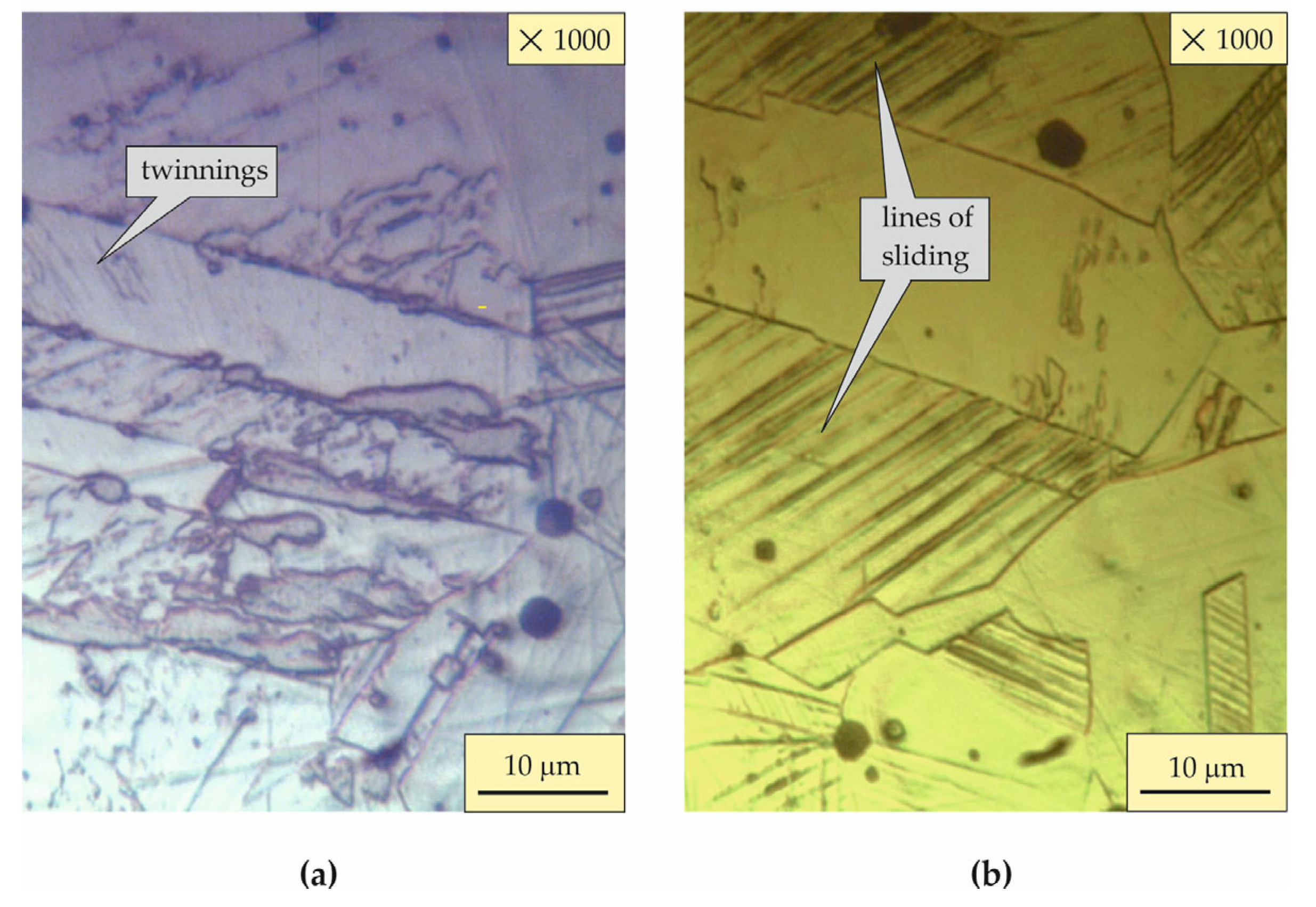 Metals 15 00574 g003