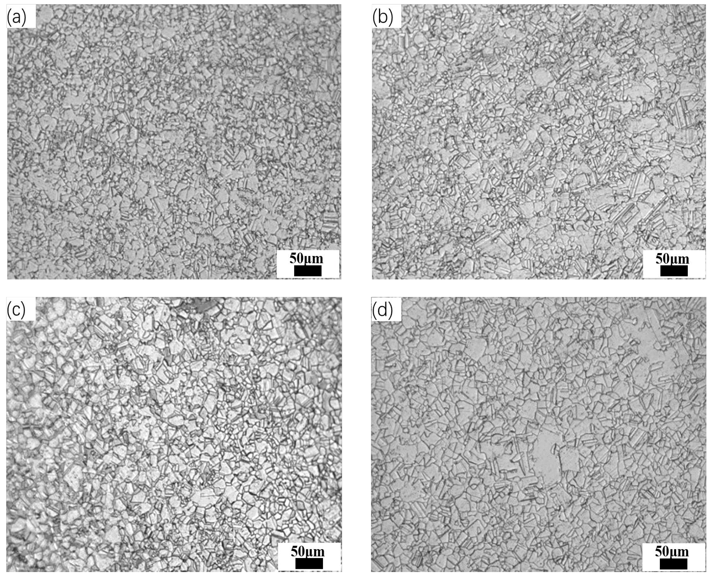 Metals 15 00576 g011