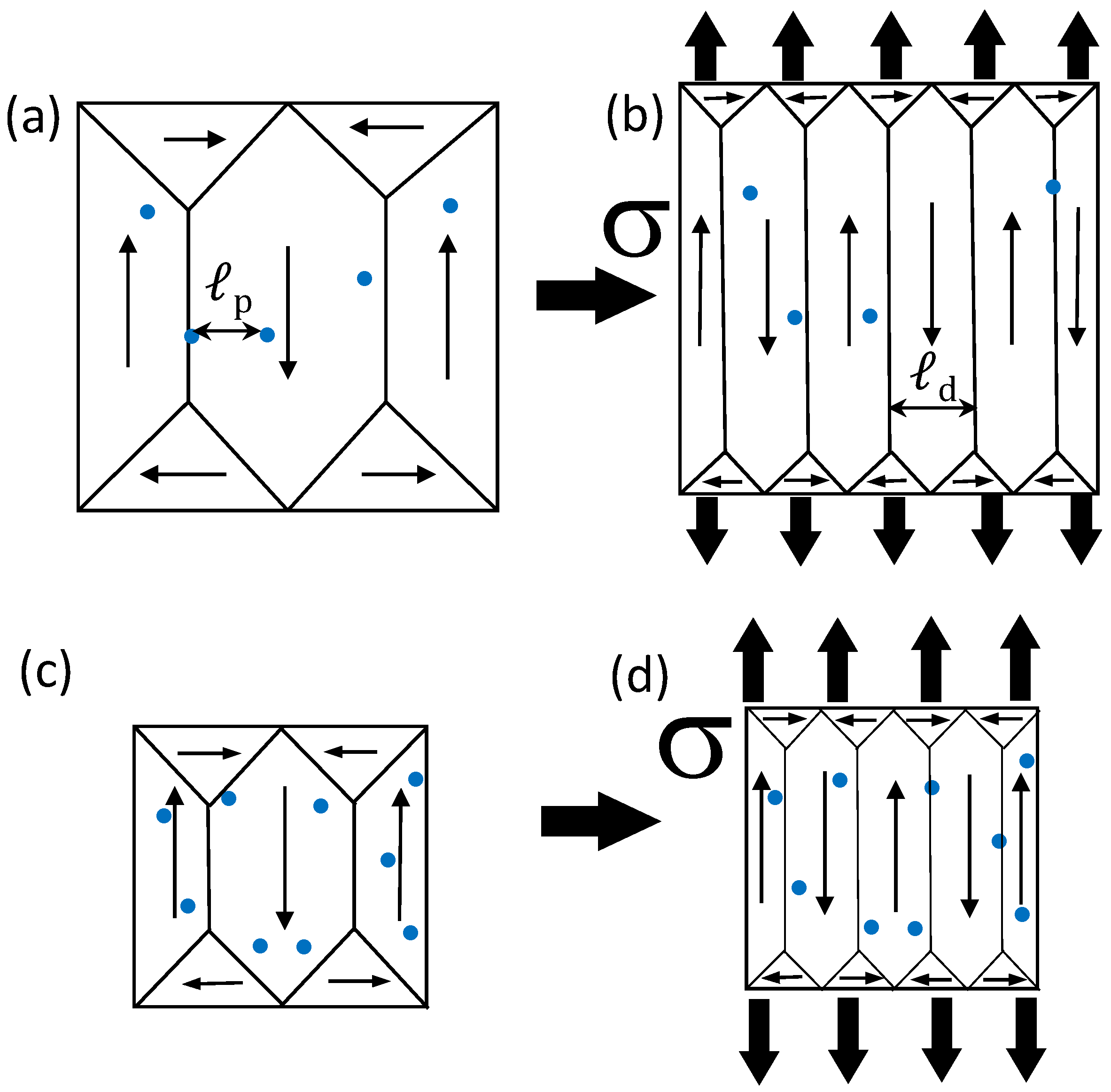 Metals 15 00600 g010