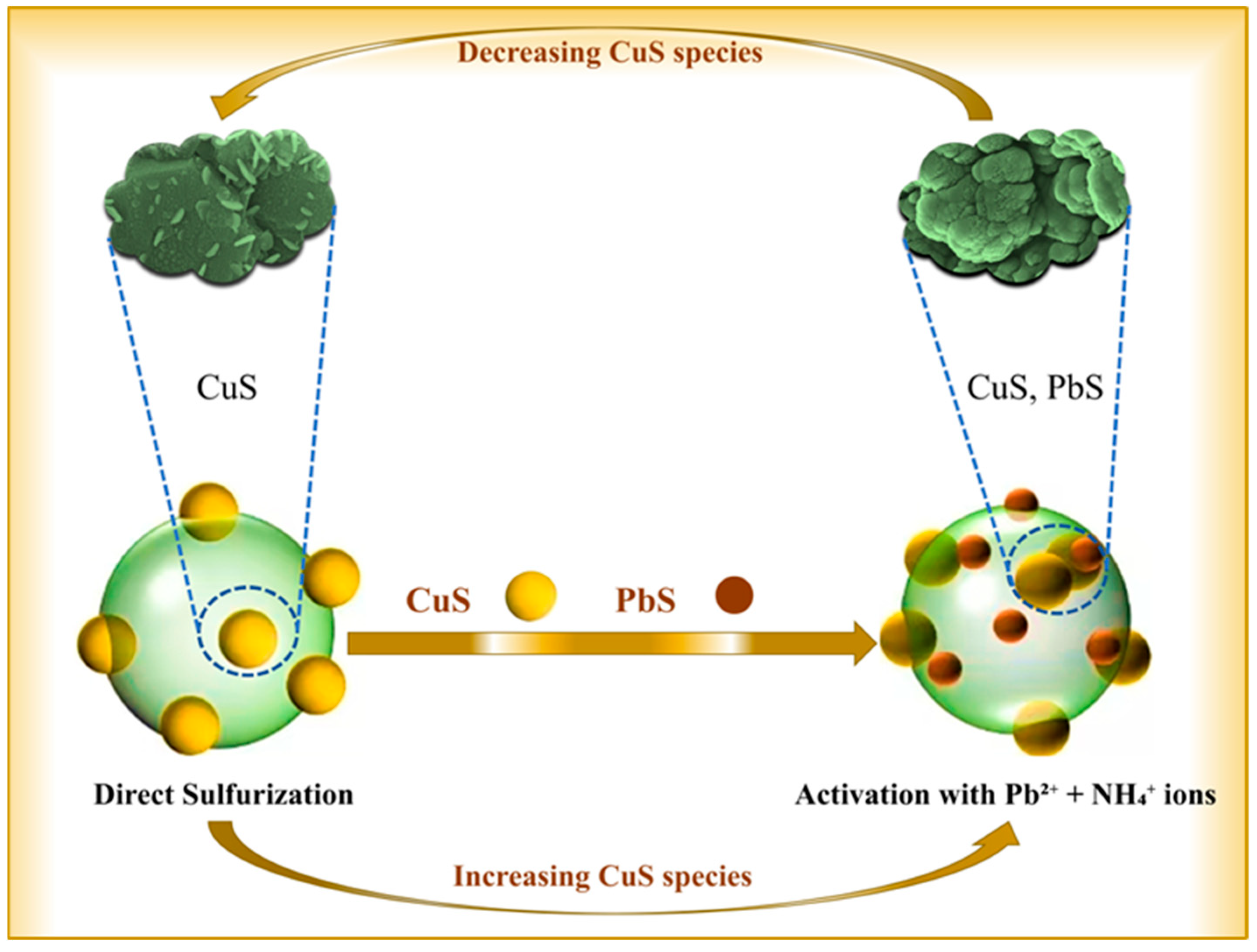 Metals 15 00601 g012