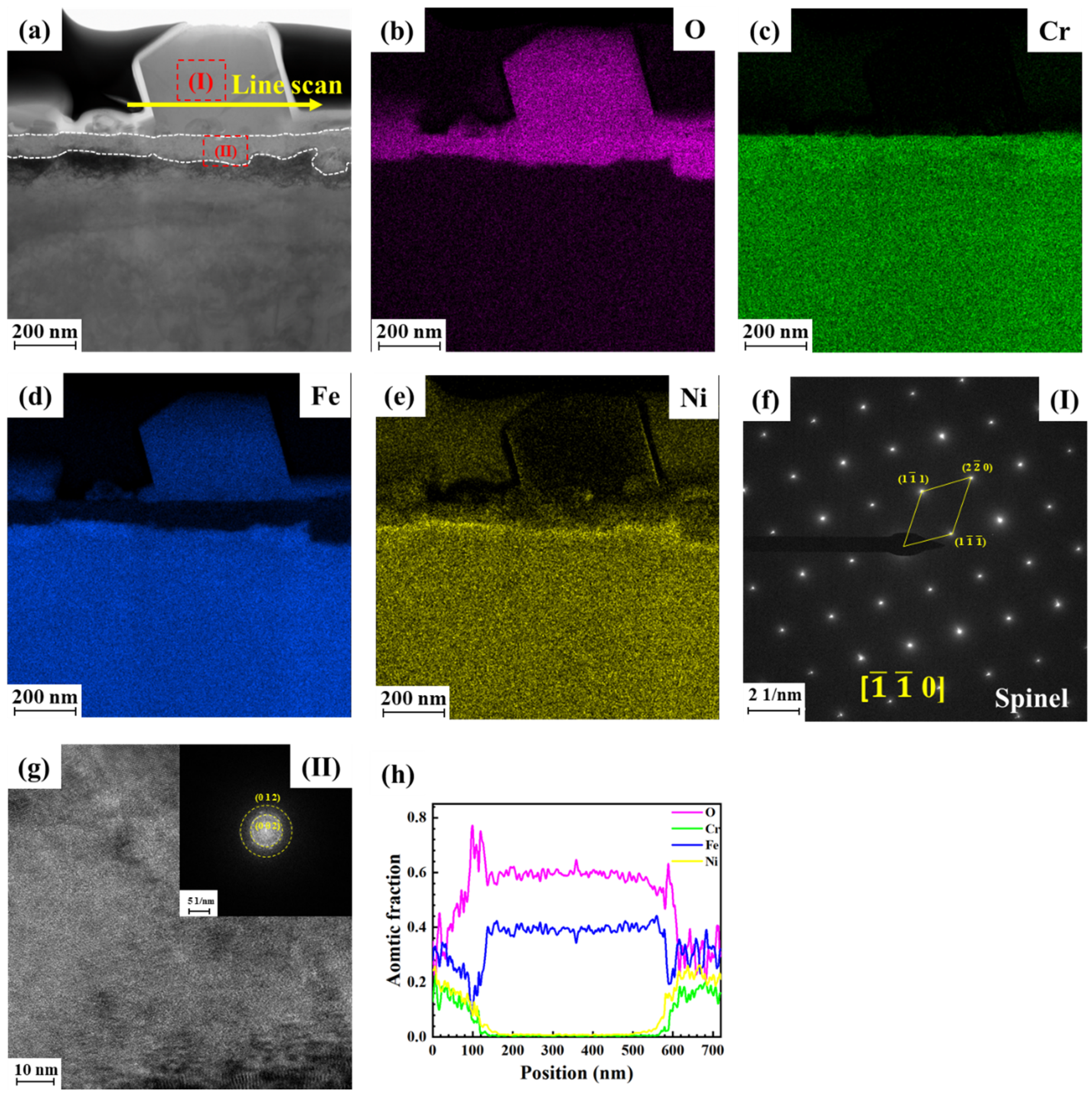 Metals 15 00602 g005